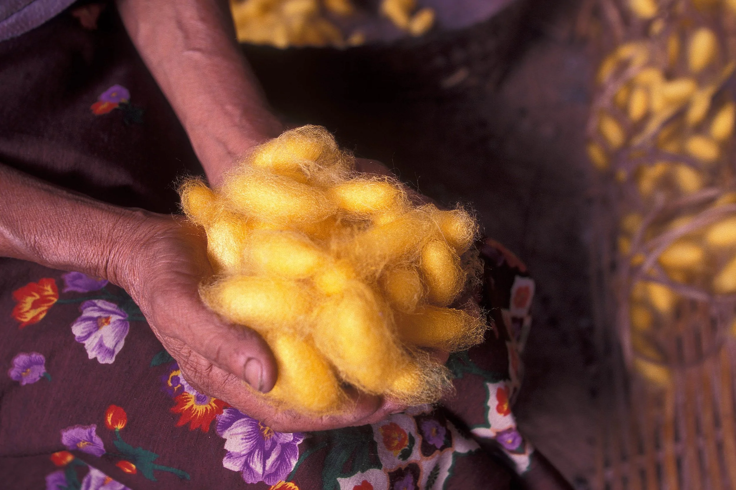 Step into a world where tradition breathes through every fibre. This is not just a tour—it’s a rare invitation to engage with one of Southeast Asia’s last vibrant strongholds of textile heritage. 