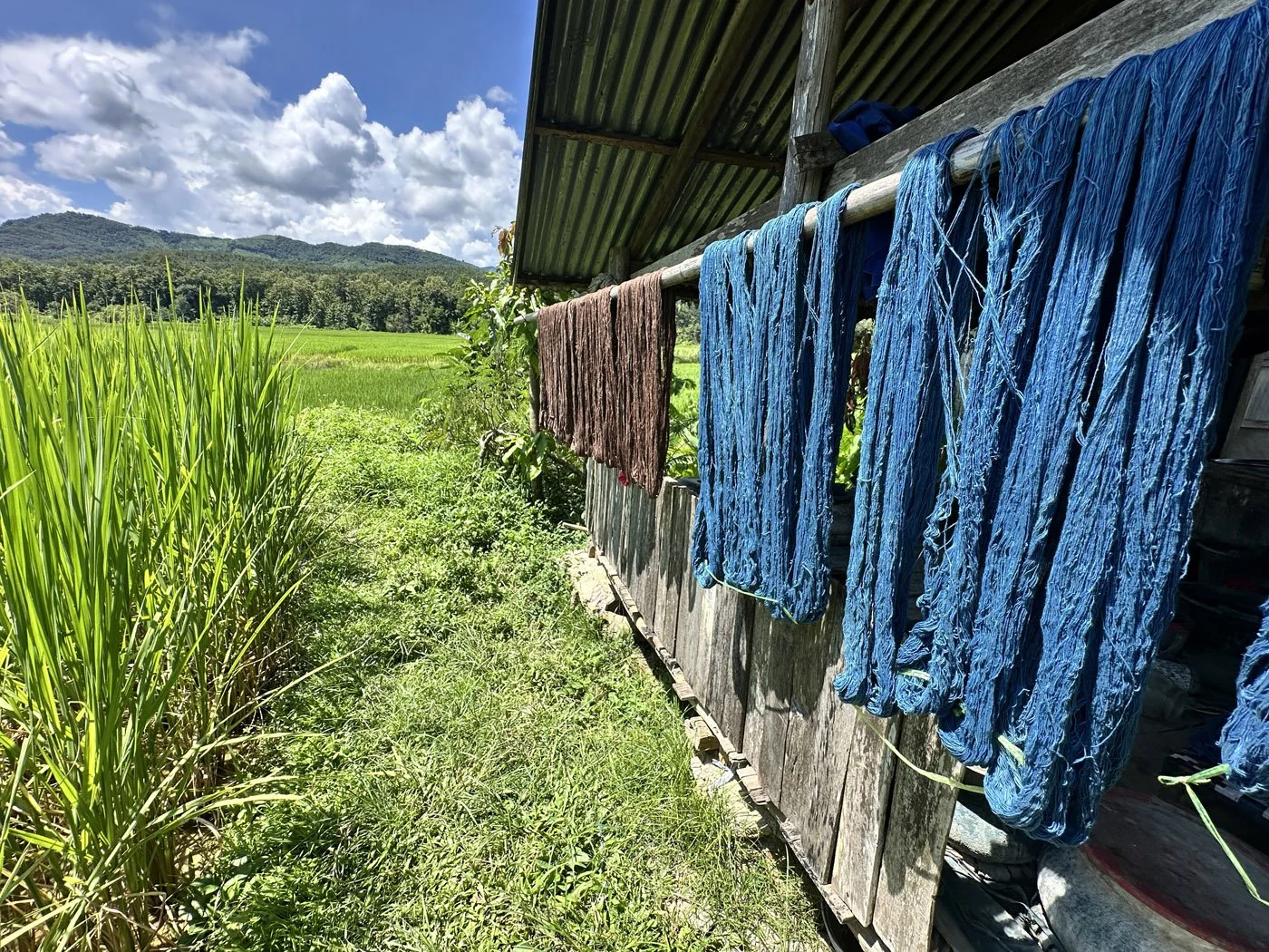 Indigo Skein drying