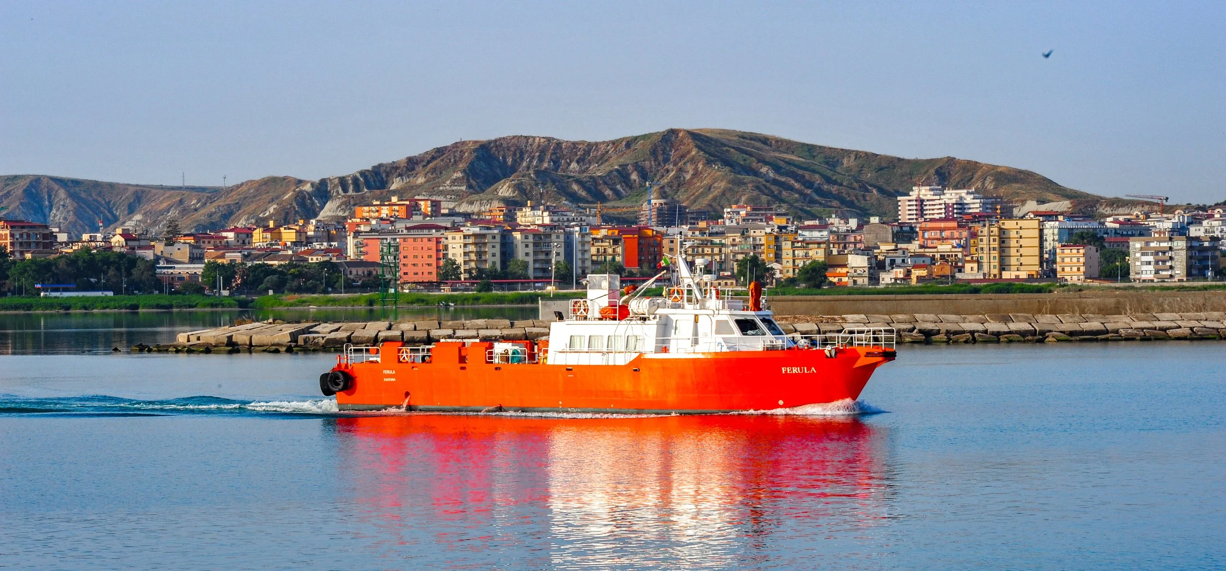 ALK_5695.jpg