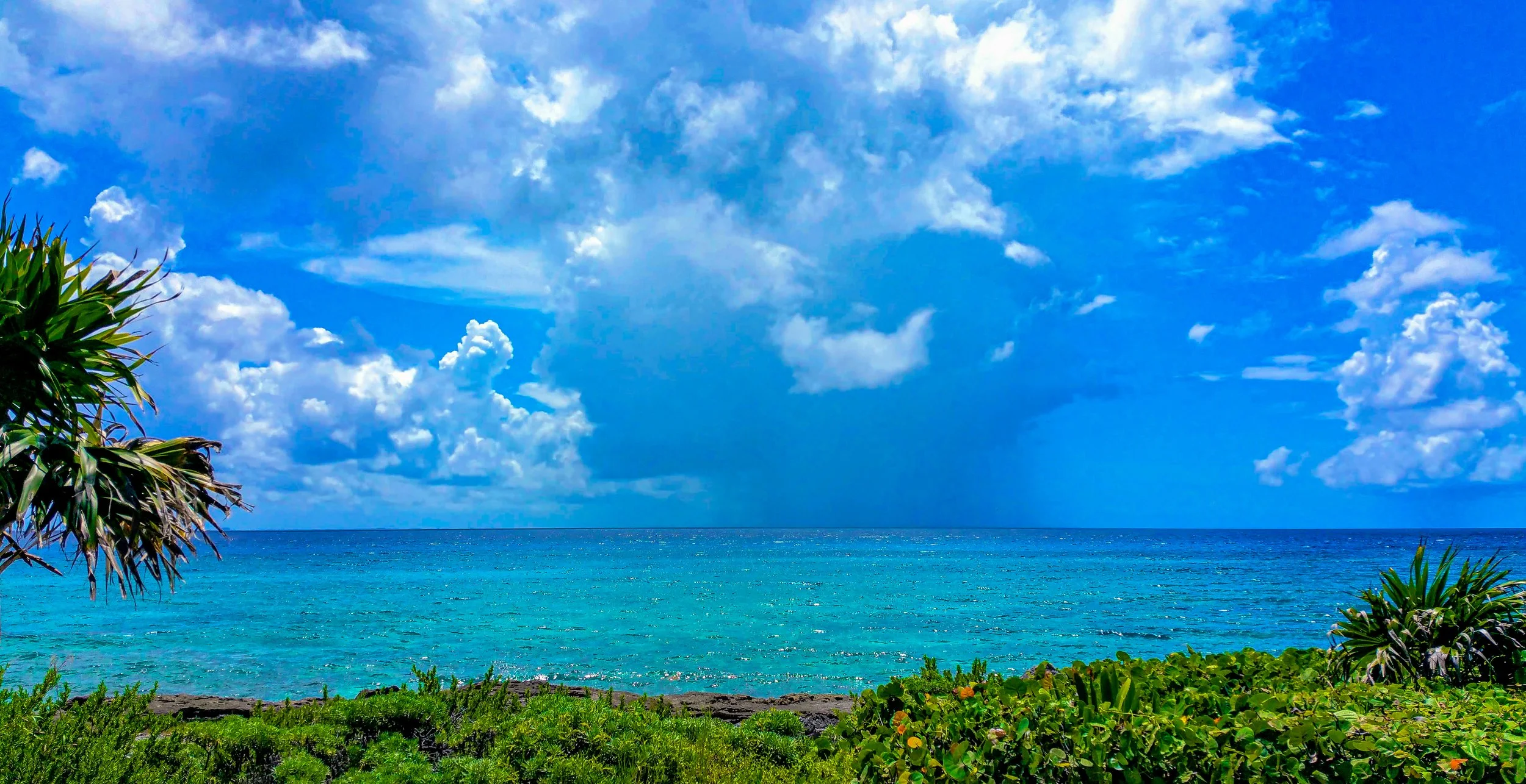 A tropical beach scene with lush greenery in the foreground, turquoise ocean water, and a bright blue sky with scattered white clouds.