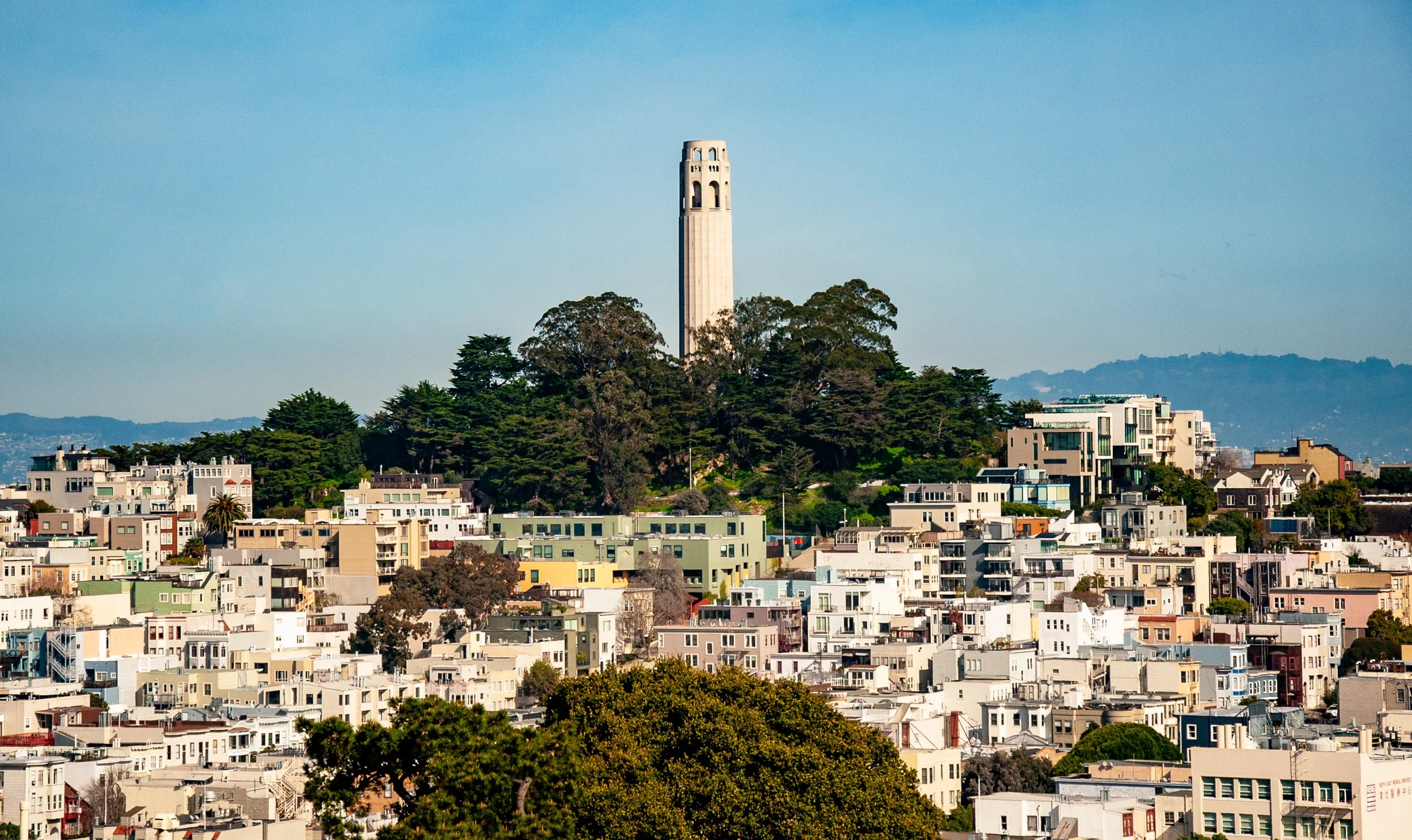 DSC_4233.jpg