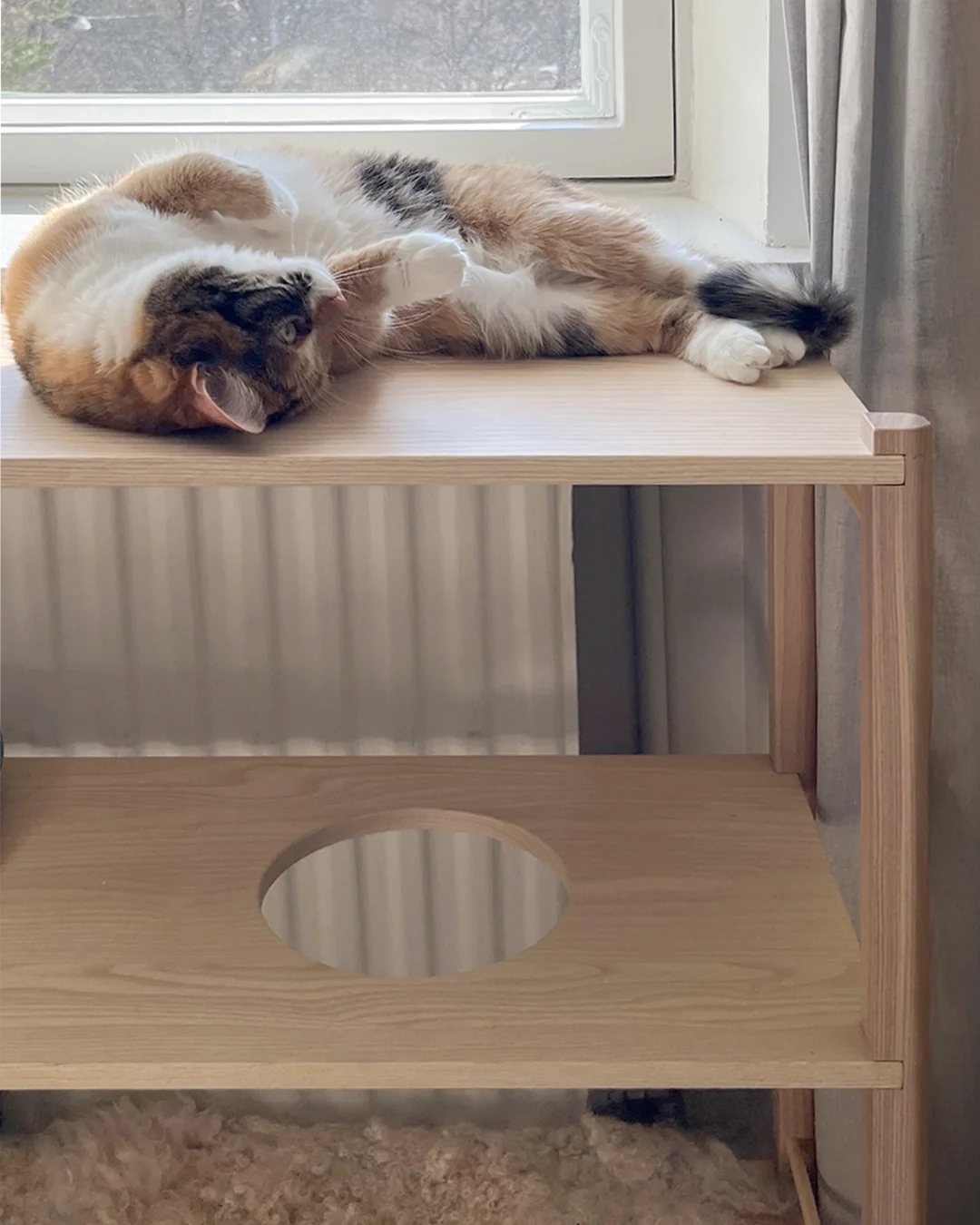 Kissan monitoimihylly