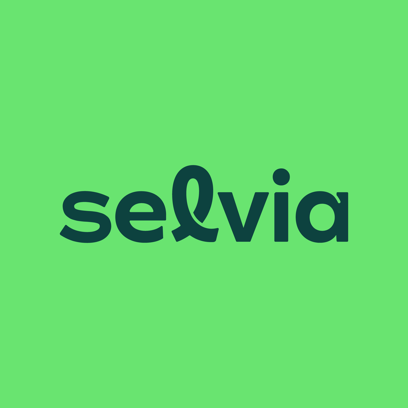 selvia.png