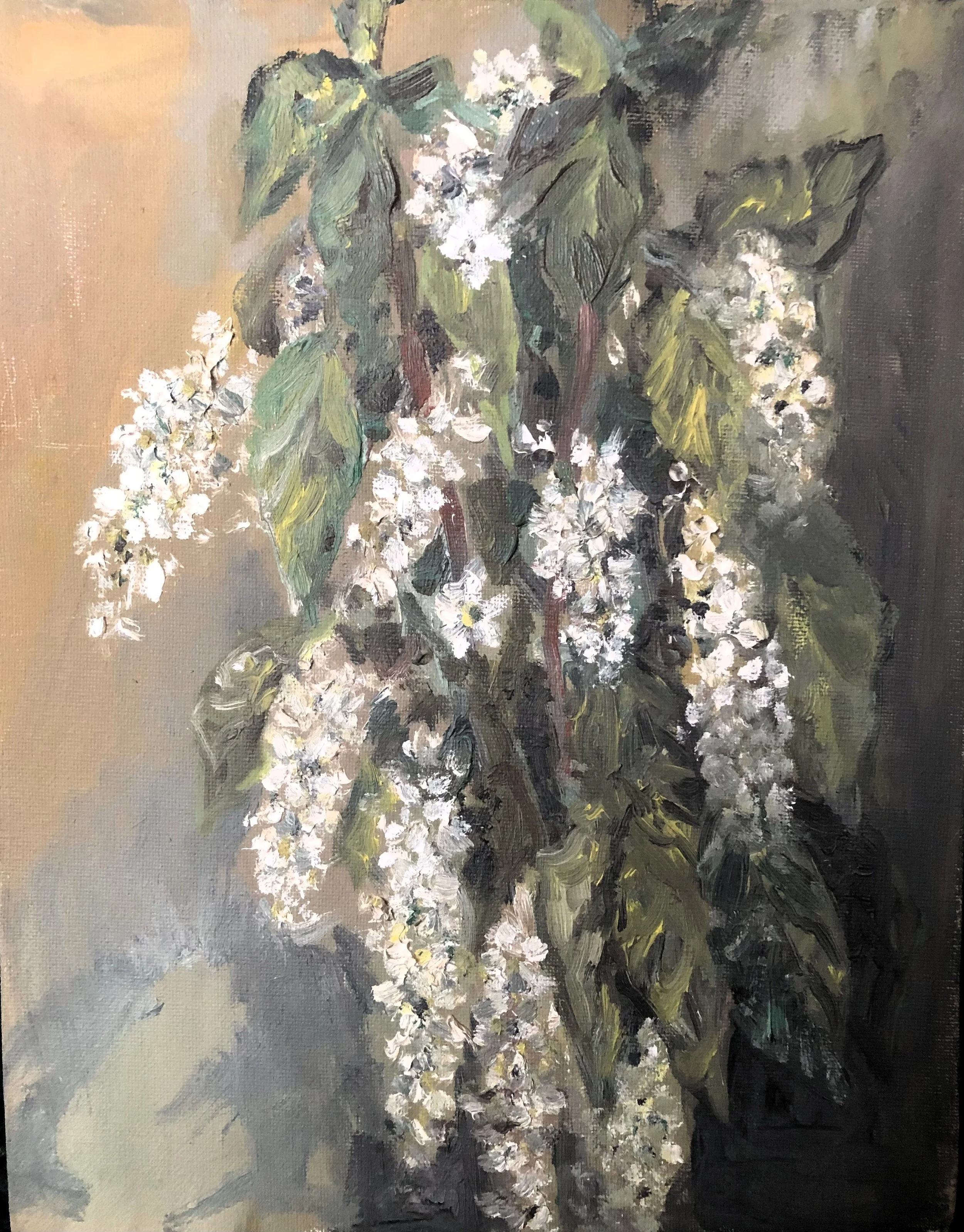 Toomingad | Туминга