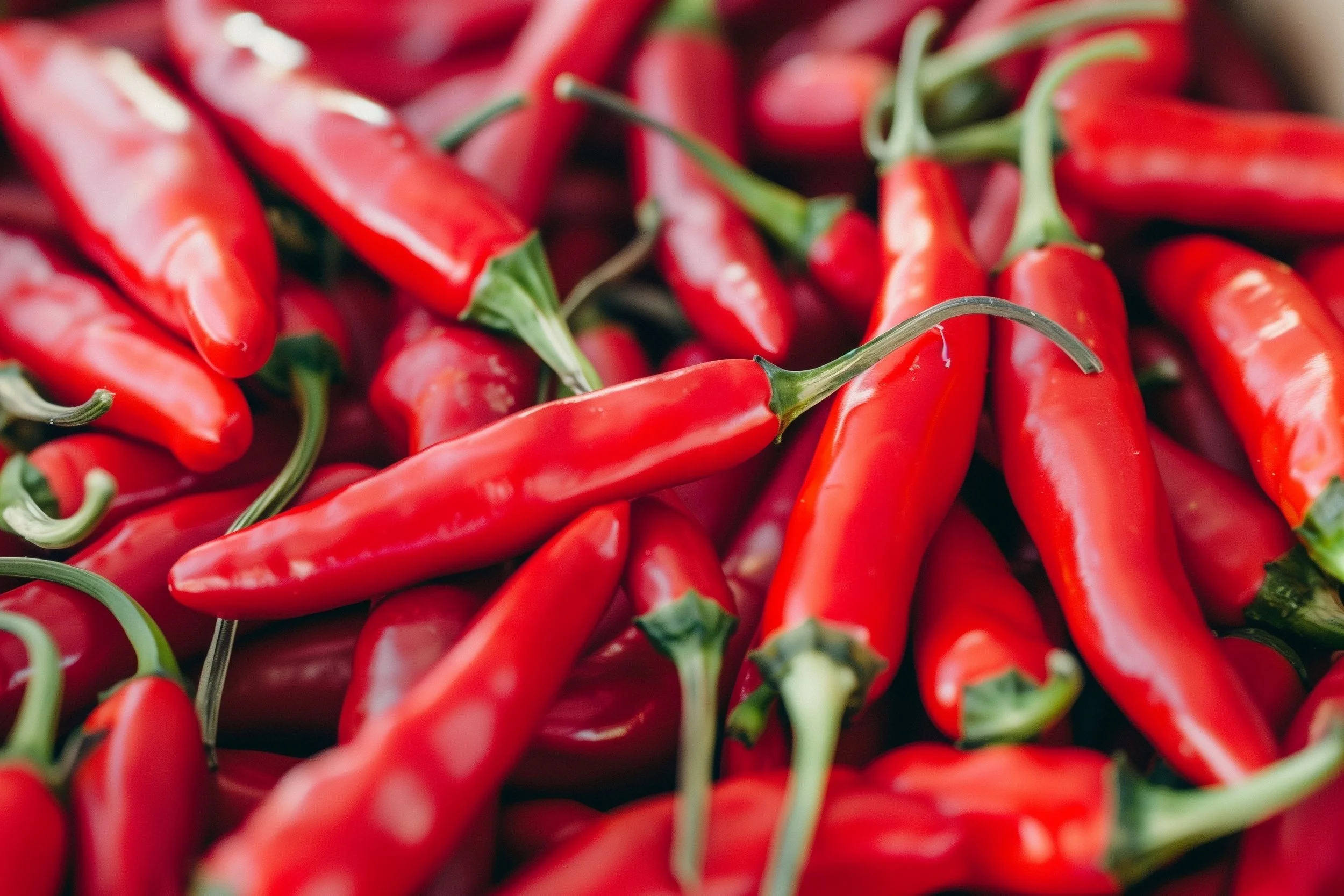 A close-up of red chili peppers with green stems.