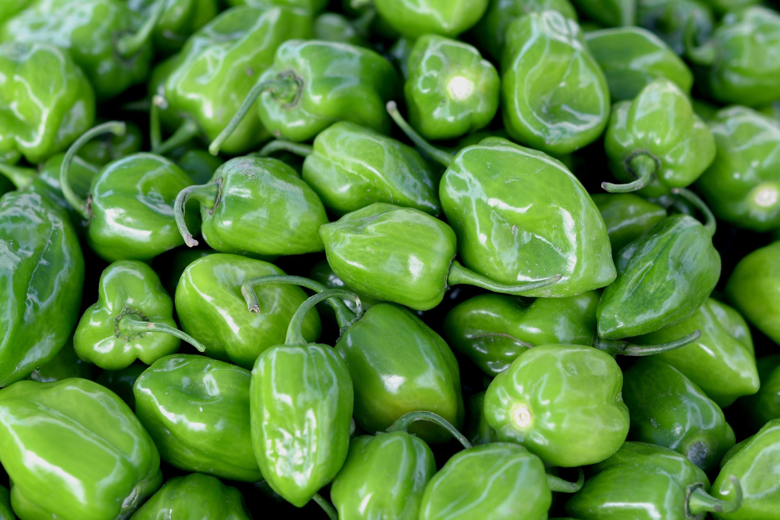 Close-up of fresh green peppers in varying shapes and sizes.