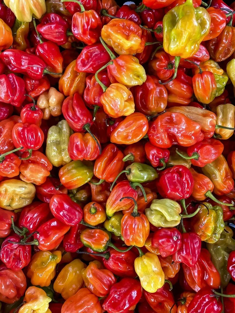 A close-up of various colorful hot chili peppers in red, orange, yellow, and green.