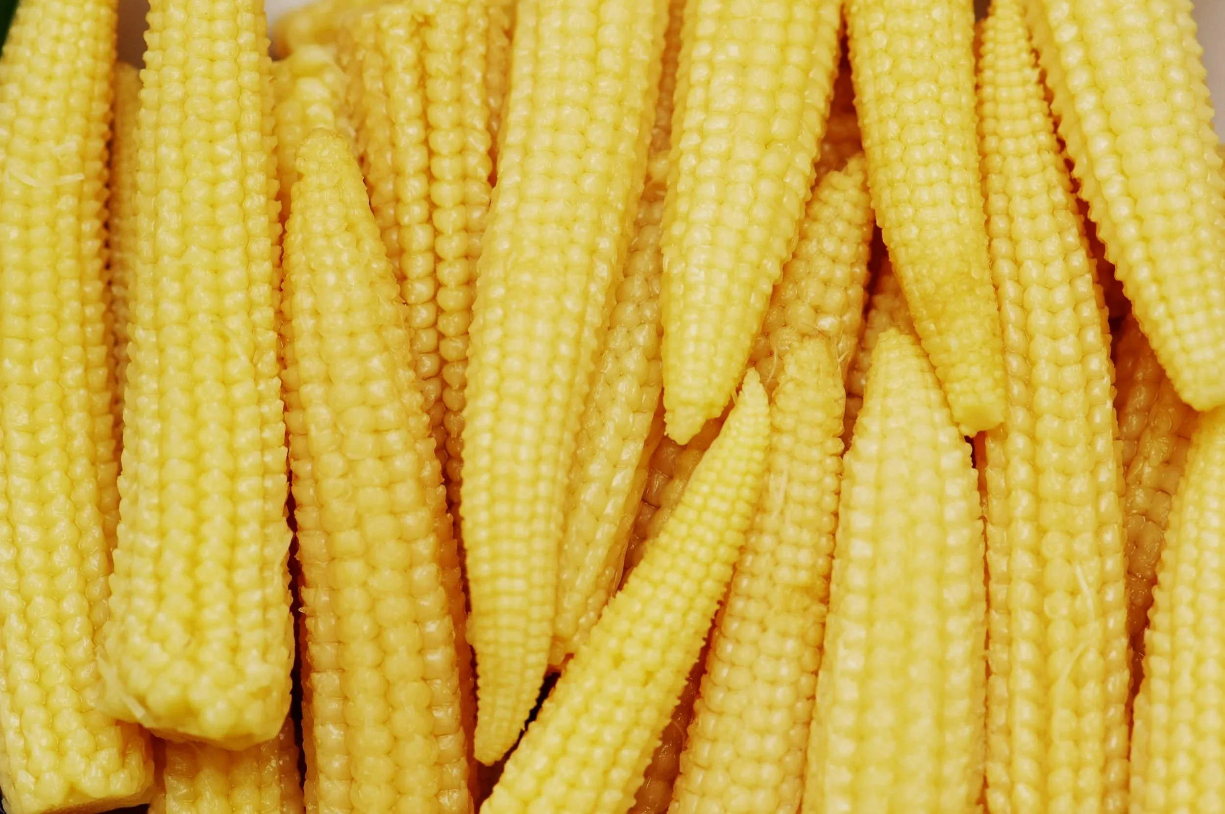 Close-up of multiple yellow baby corn cobs stacked together.