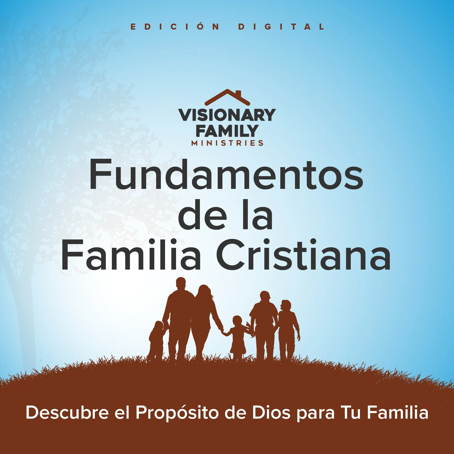 Book cover titled 'Fundamentos de la Familia Cristiana' by Visionary Family Ministries showing a silhouette of a family holding hands on a grassy hill with a light blue sky and a tree on the left side, with the subtitle 'Descubre el Propósito de Dios para Tu Familia'.