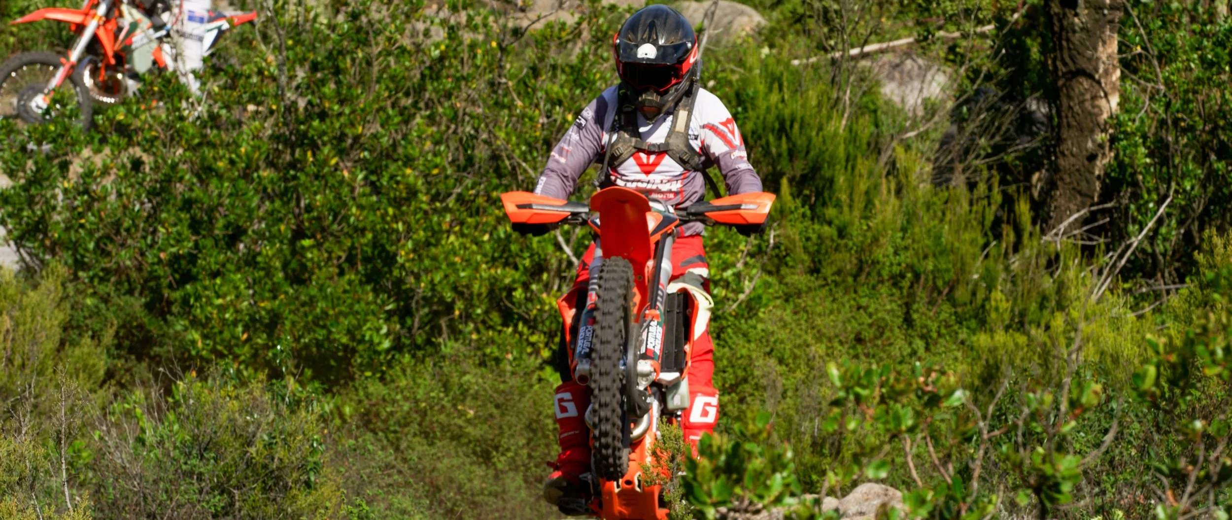 A motocross rider wearing a black helmet, goggles, a white and red jersey, and red pants riding an orange dirt bike through a forest trail surrounded by green foliage.