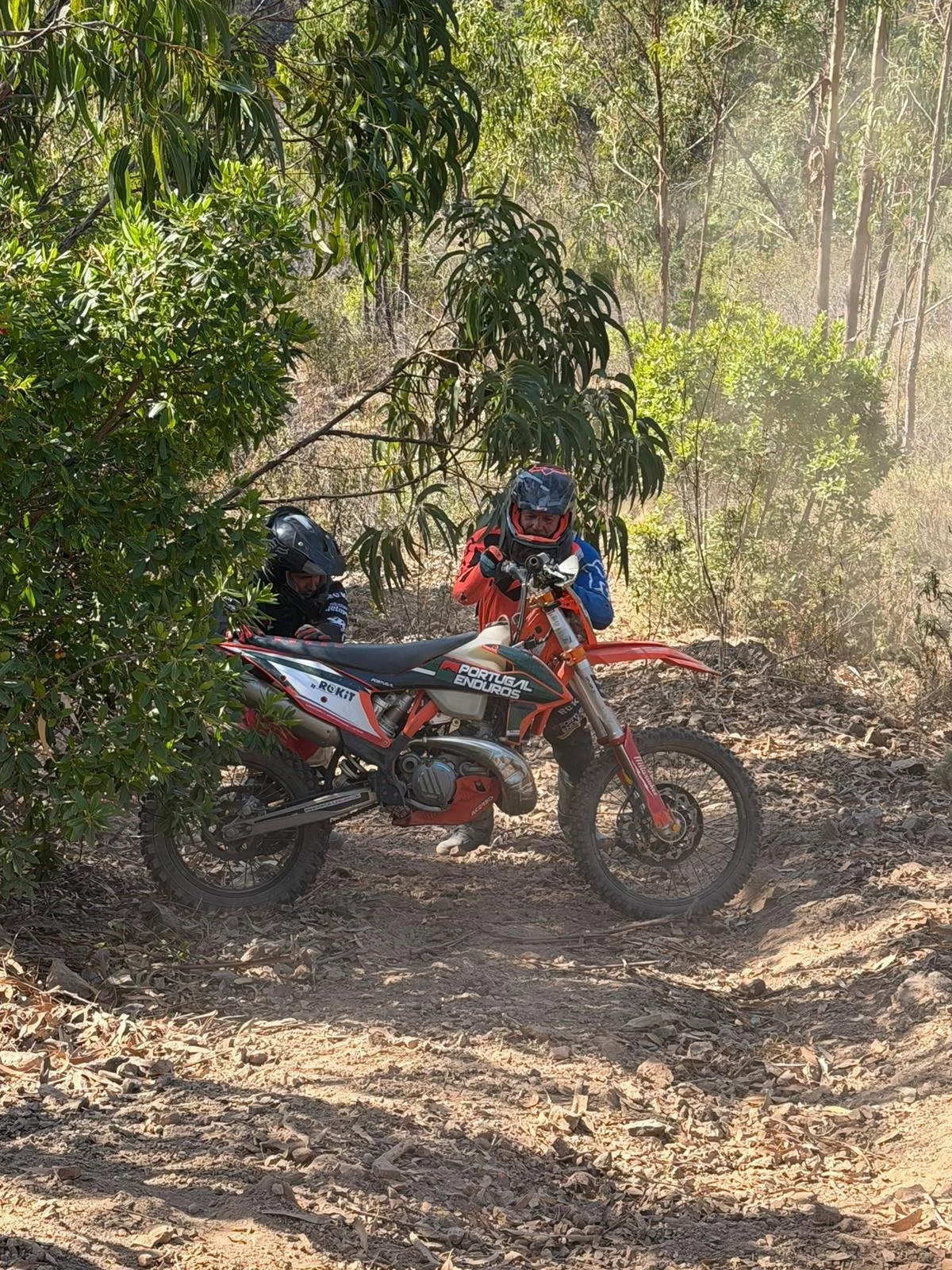 Two motorcyclists, dressed in riding gear, on a dirt trail surrounded by trees and bushes, with one rider adjusting something on the orange and white KTM dirt bike.