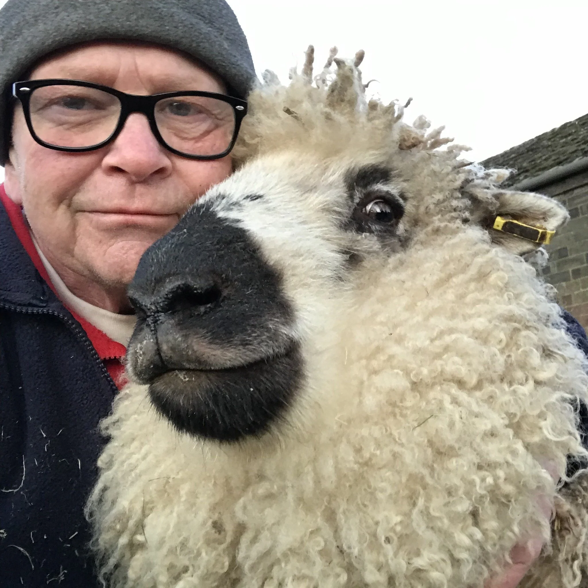 A man in glasses and a gray beanie taking a selfie with a sheep.