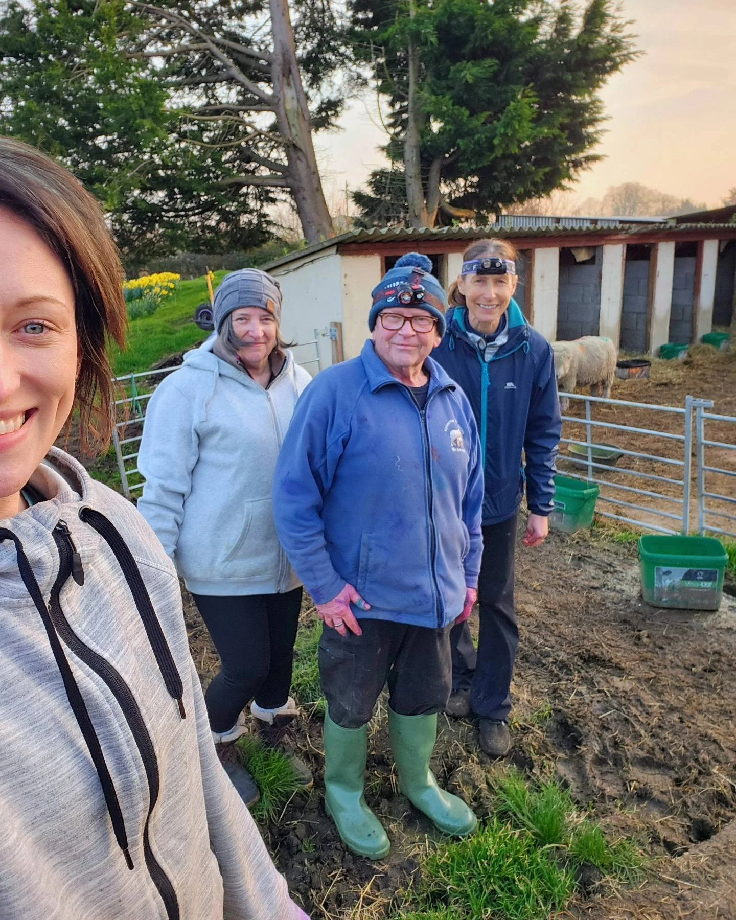 Four people outdoors at a farm or garden, some wearing headlamps, standing by a fenced area with sheep, with trees and a small shed in the background, during sunset.