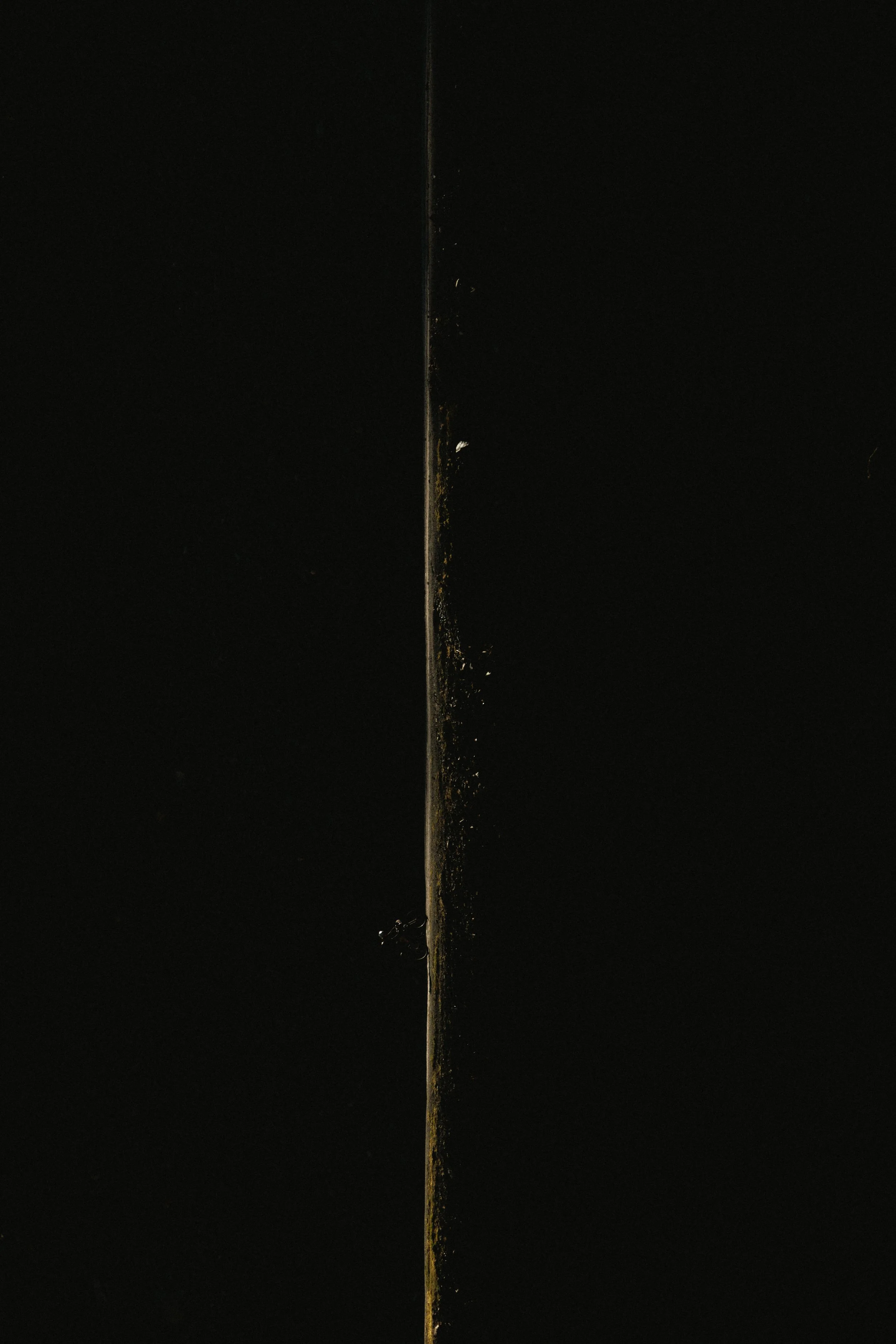 SRMR_Web-11.jpg