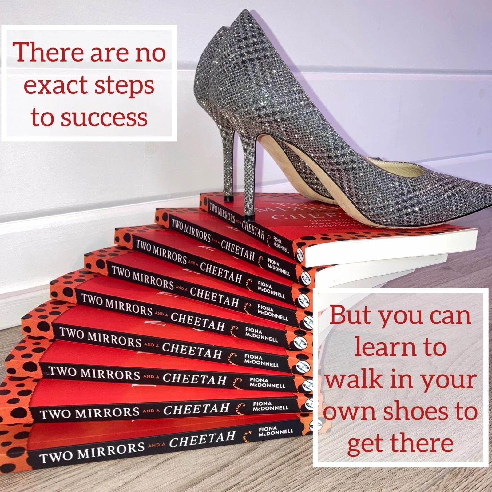 Silver shoes on book.jpeg