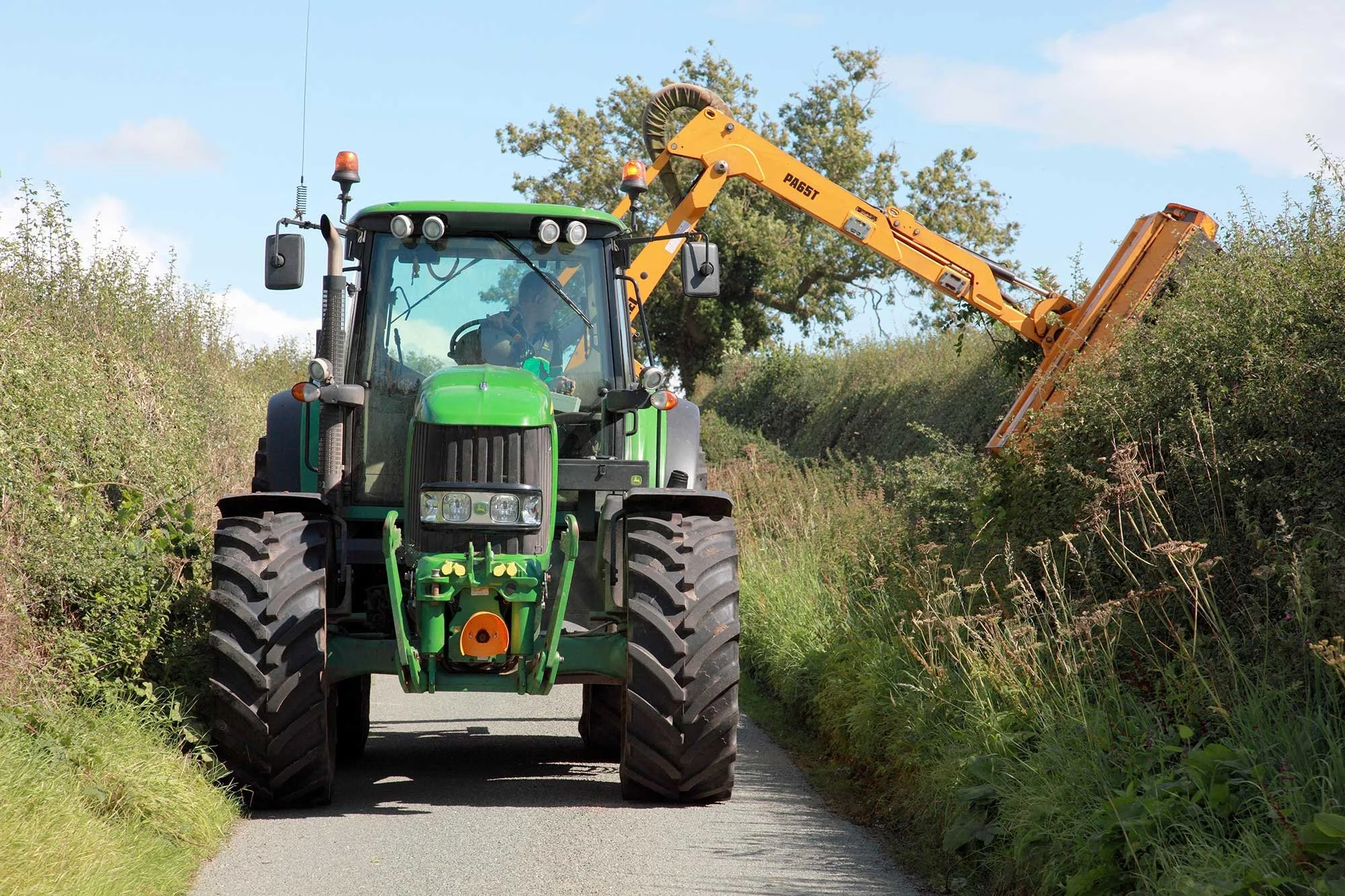 Tree and Hedge Cutting: Best Seasons and Environmental Responsibilities