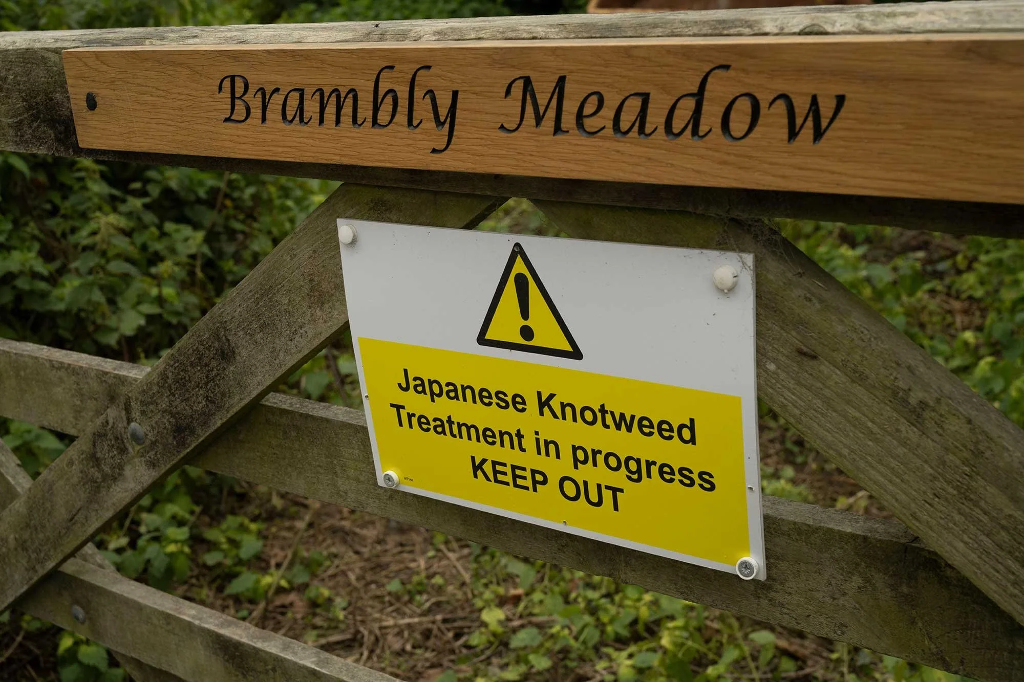 Kent Services Environmental & Ecological Services - Invasive weed control