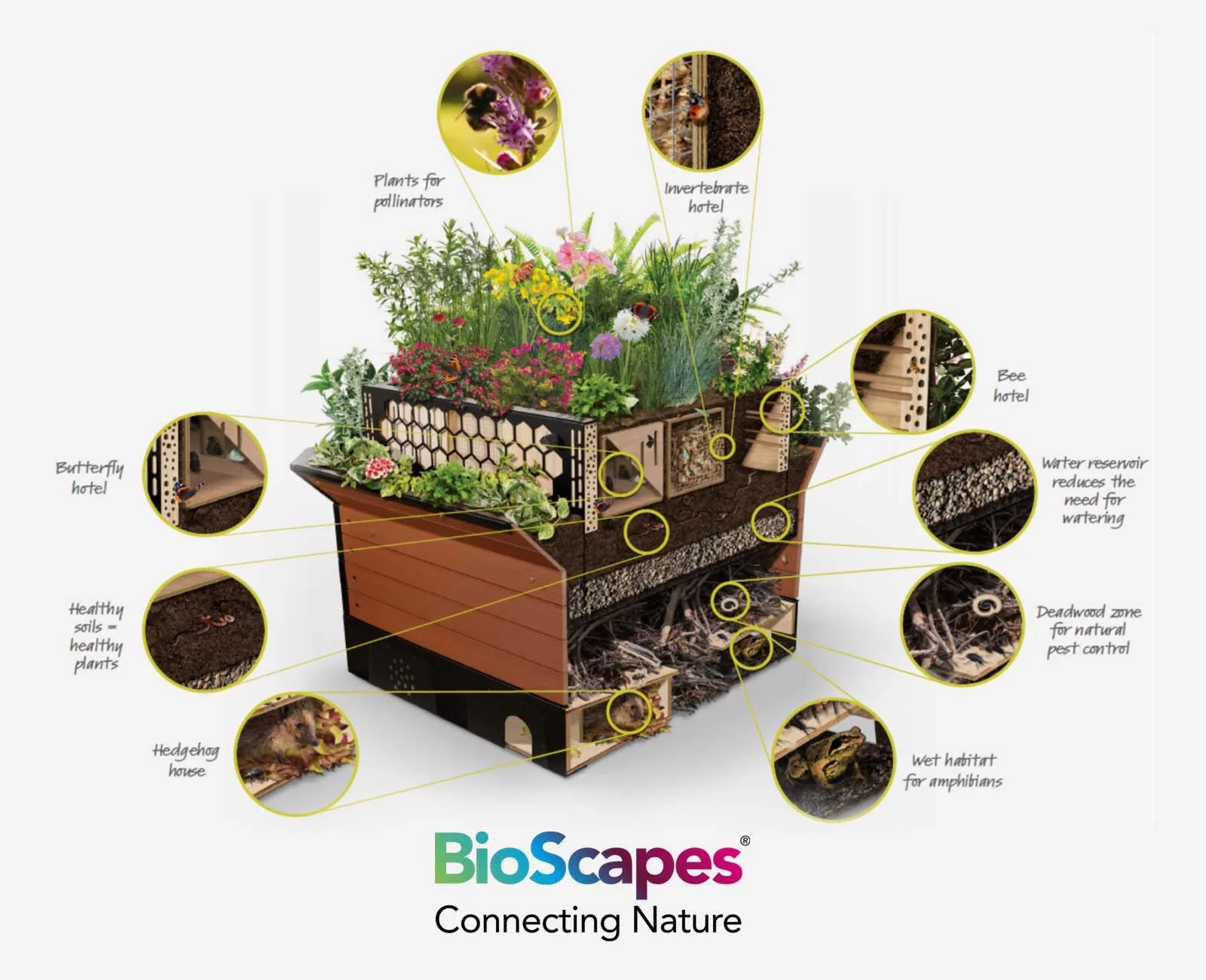BioScapes® habitat showing planting and rewilding