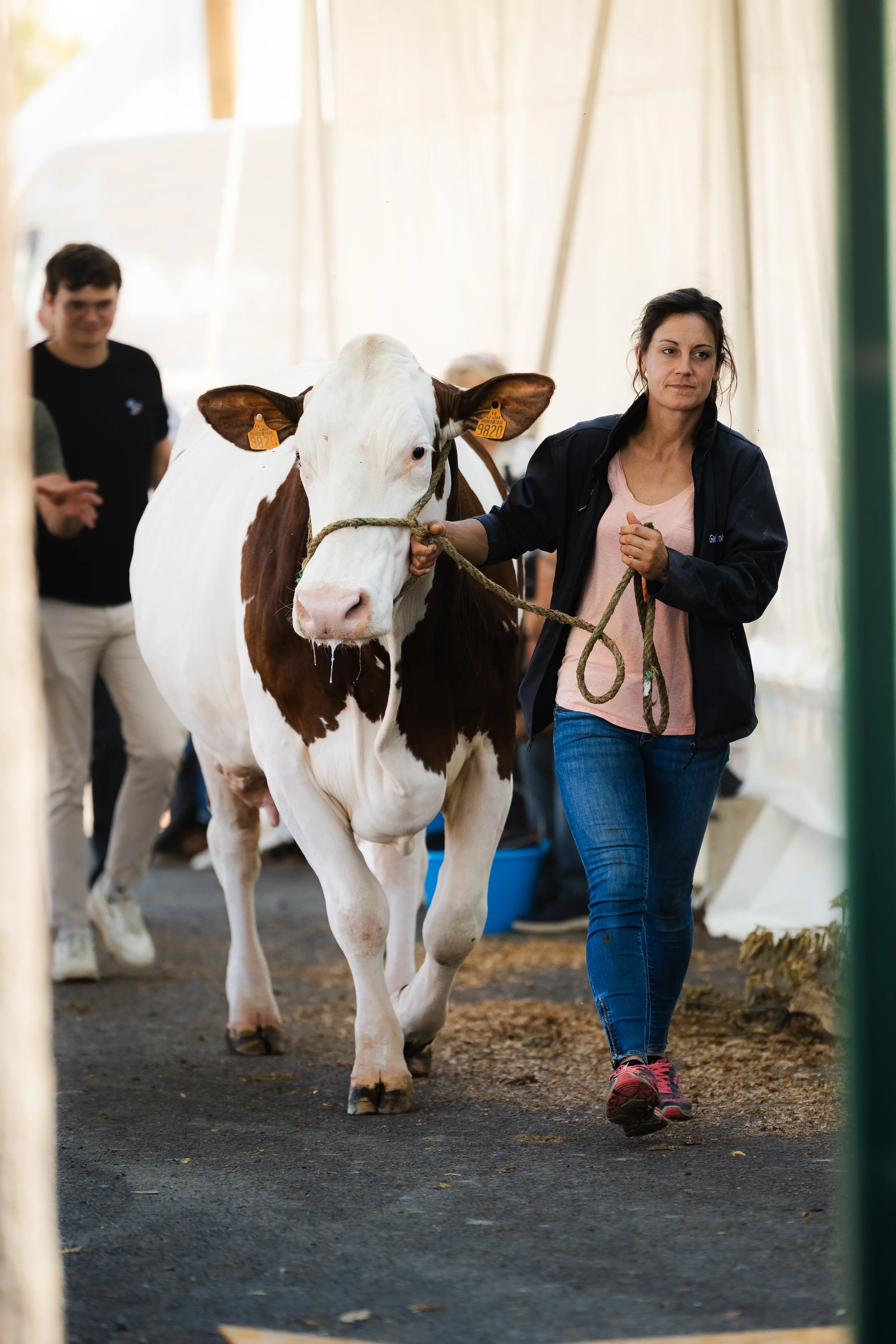 Éleveuse présentant une vache au Sommet de l'Élevage