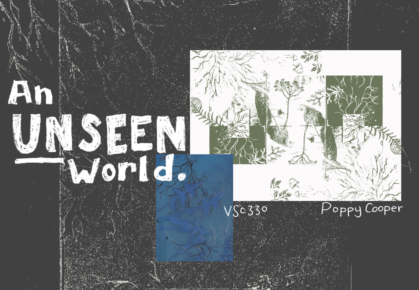 AN UNSEEN WORLD.