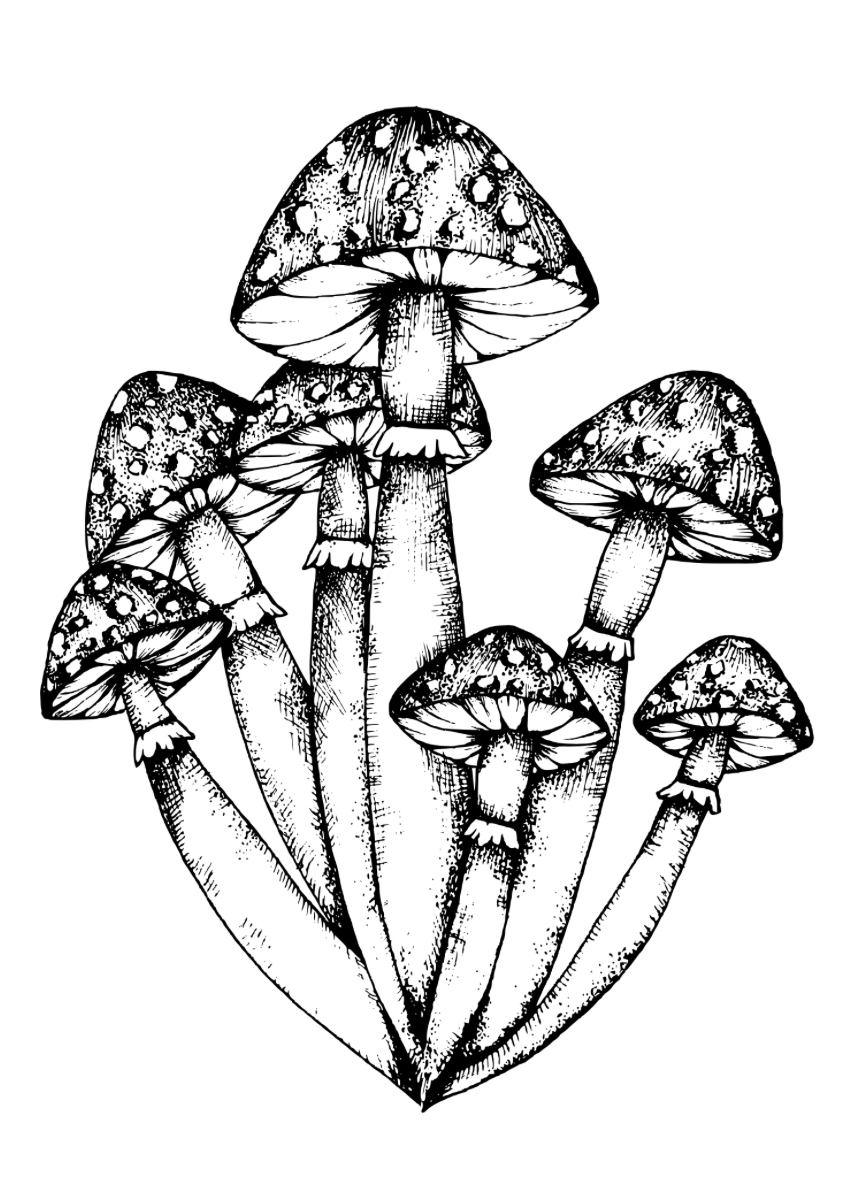 Screenshot 2025-12-07 at 13.58.34.png