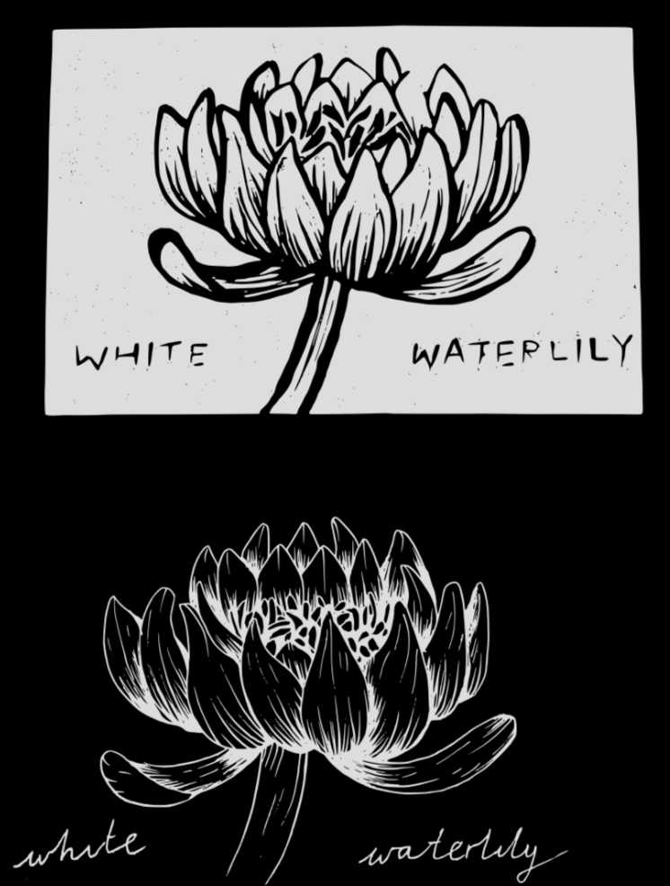 Screenshot 2025-12-07 at 14.07.55.png