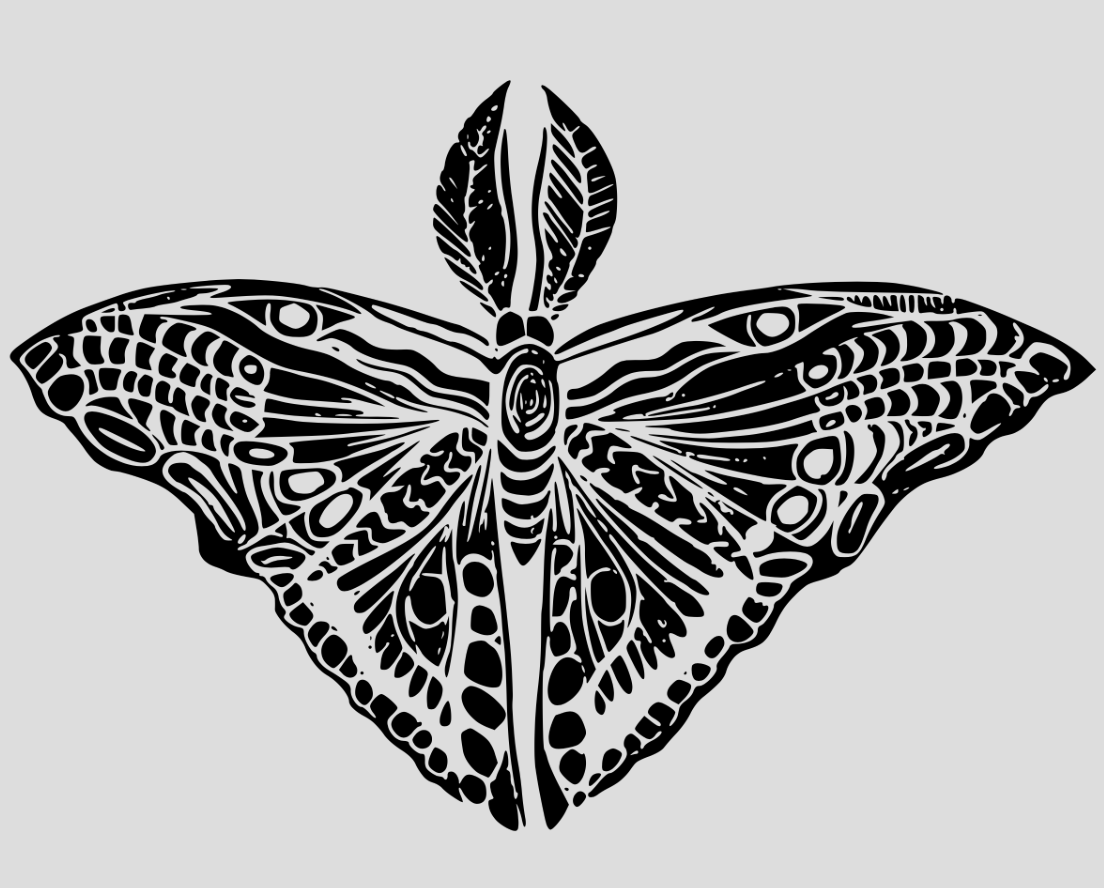 Screenshot 2025-12-07 at 14.03.46.png