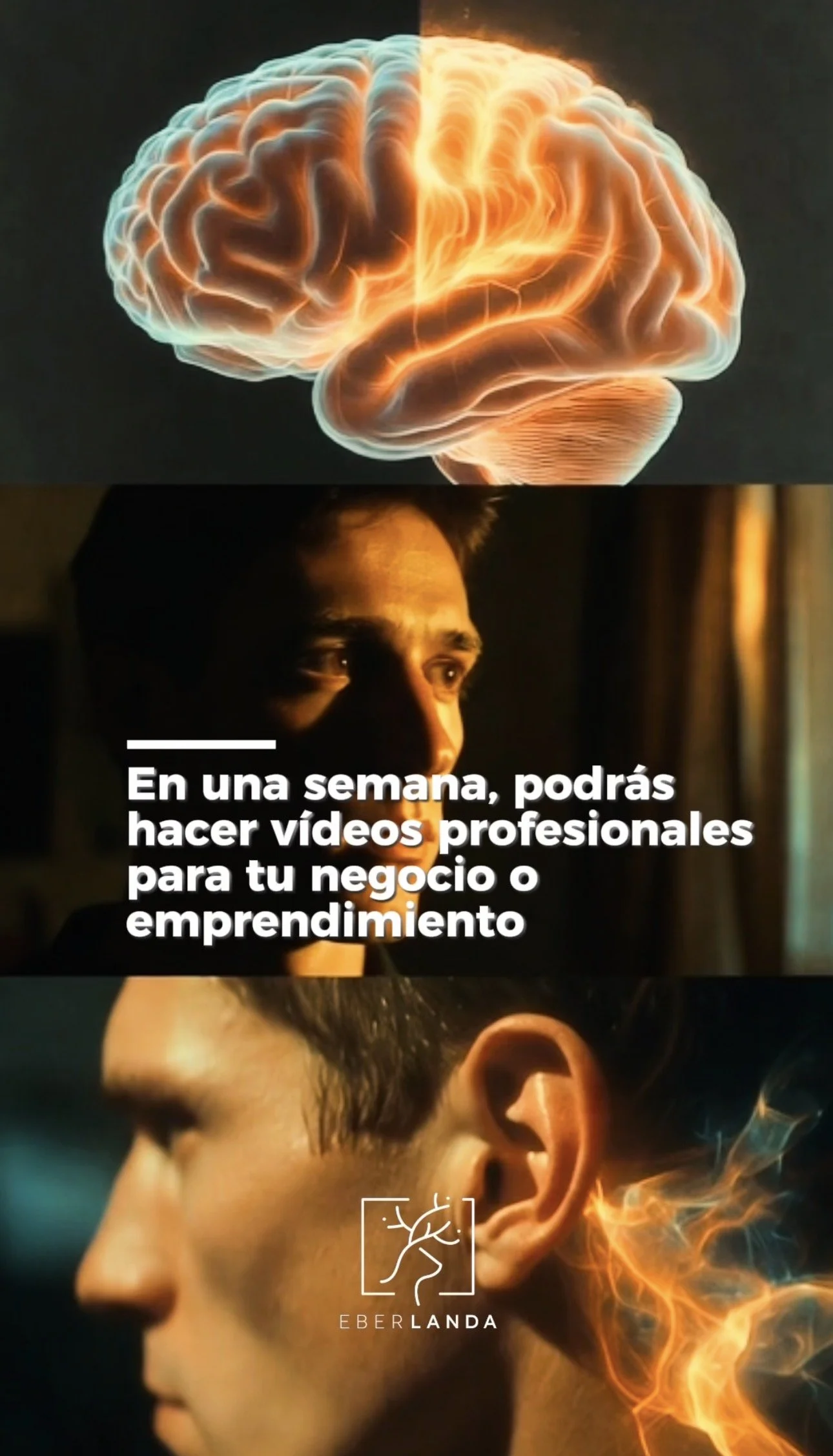 Workshop | Contenido