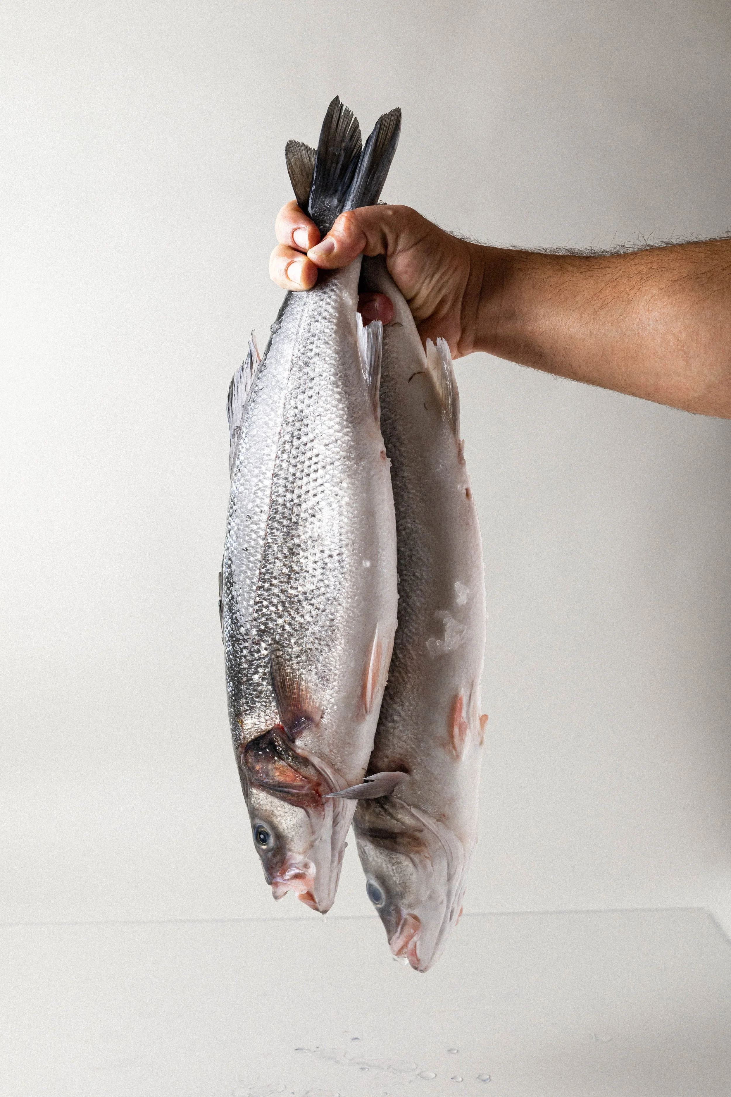 A hand holding two fresh fish by their tails over a white surface against a plain white background.