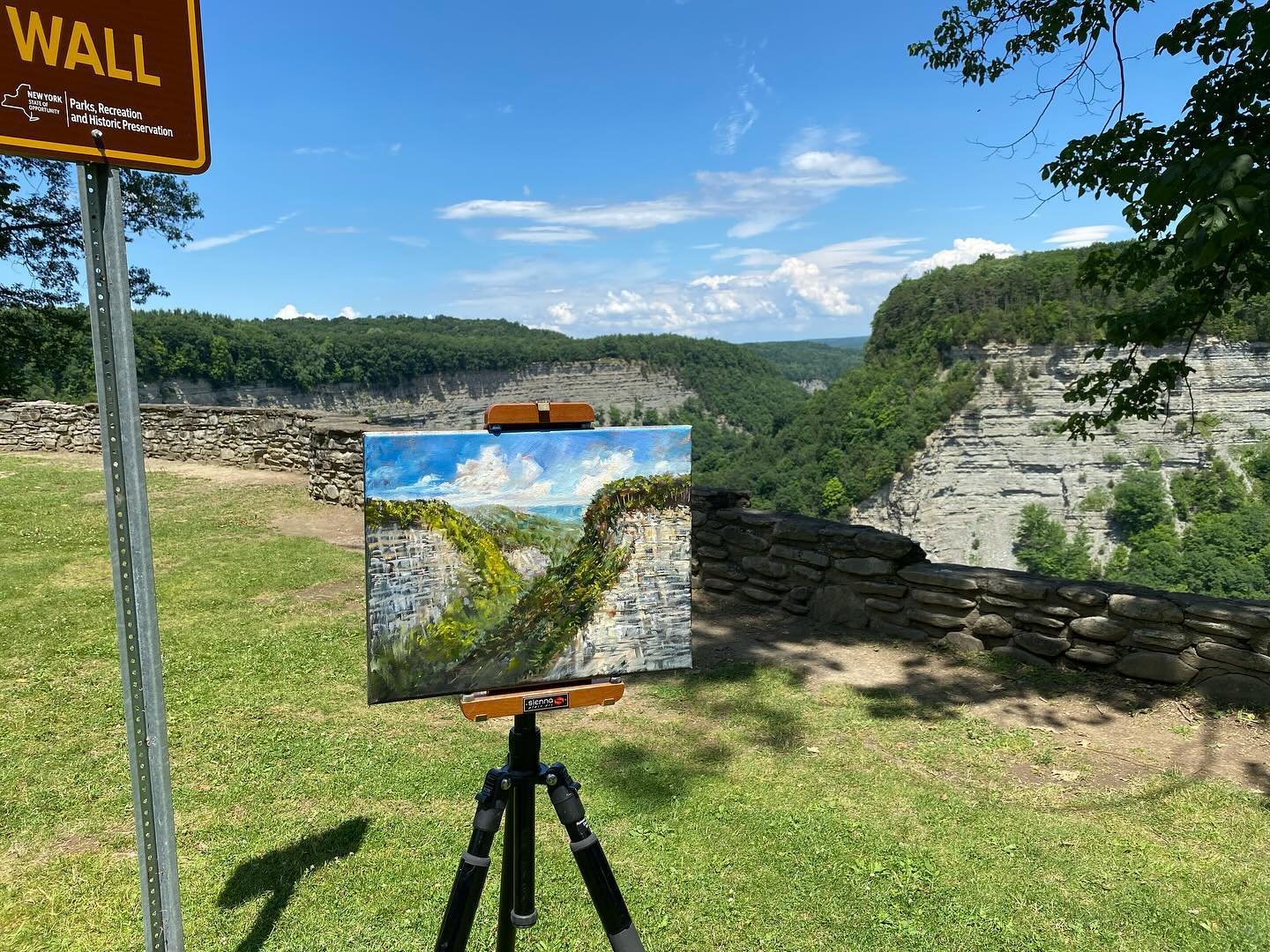 Letchworth Archery Field. Oil on canvas Plein air. This painting took about 2-1/2 hours today. Not counting the frequent breaks to talk with interested people. Named no. 1 State Park in the country.