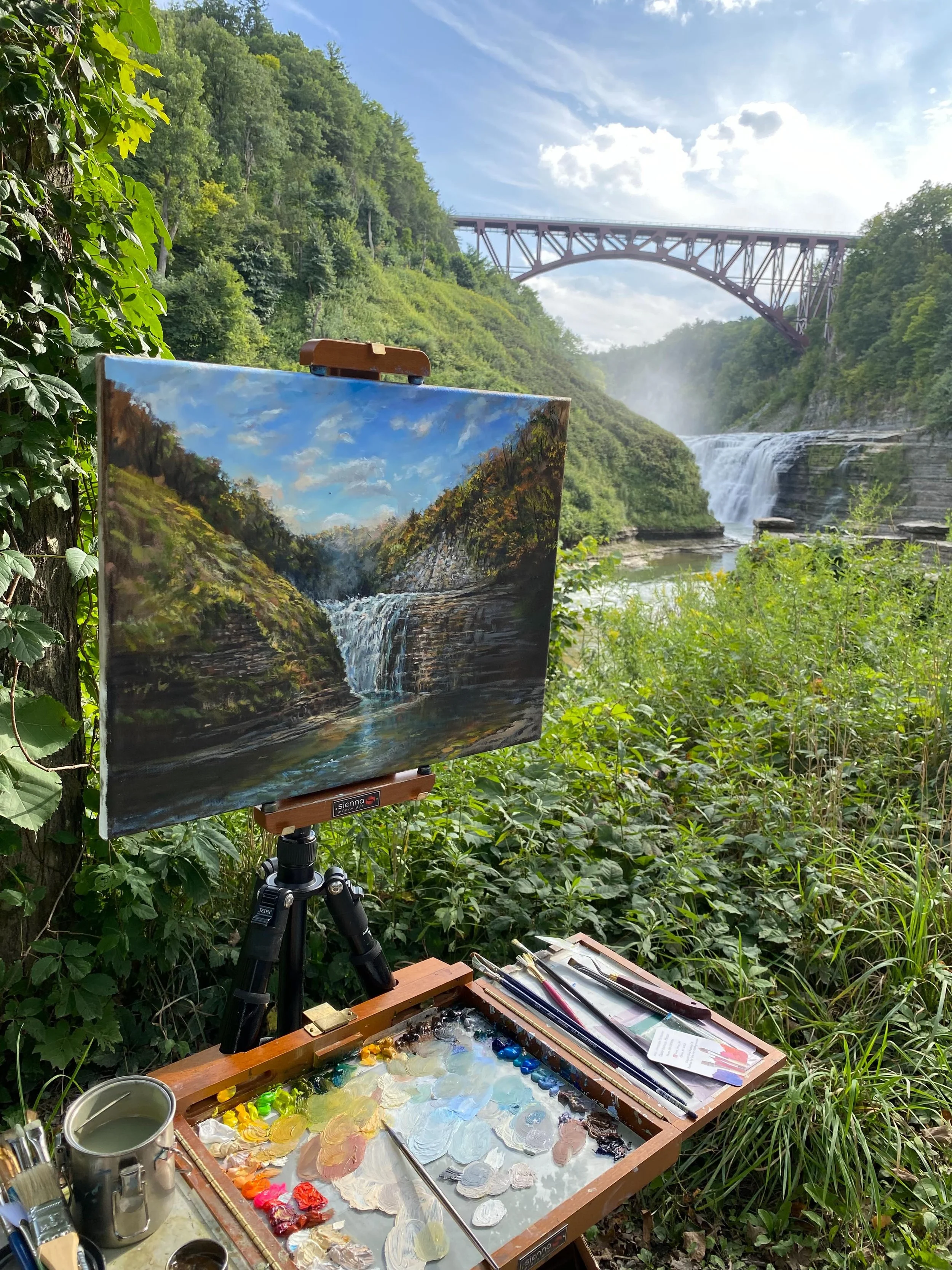 PLEIN AIR PAINT OUT - have you ever thought about painting outdoors at a great location? I&rsquo;m in the process of inviting anyone, of any skill , use any media, to join me at Letchworth State Park NY, to paint for a day. There is no charge ( excep