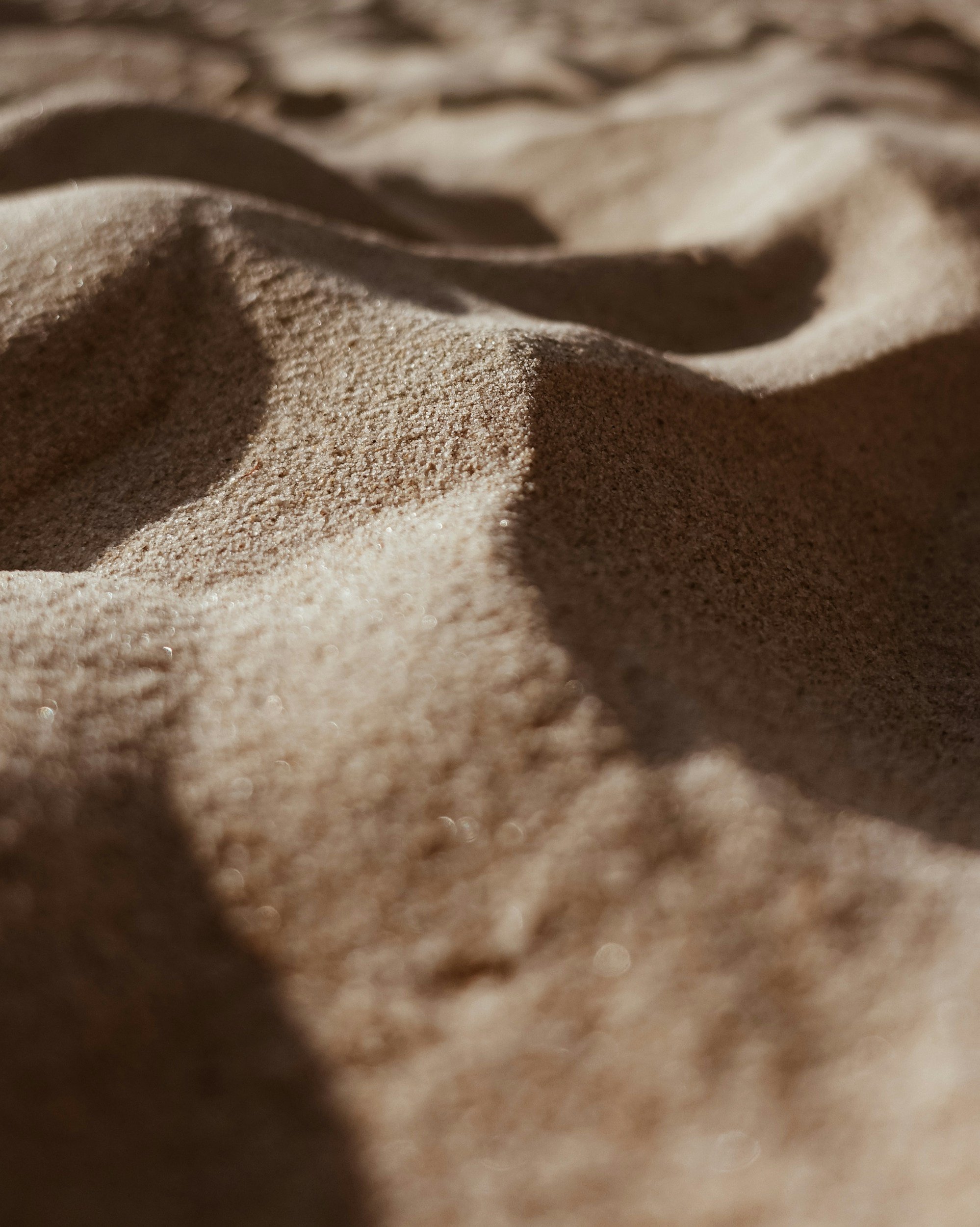 Coastal imagery evoking grounded calm at Lōmii Studio