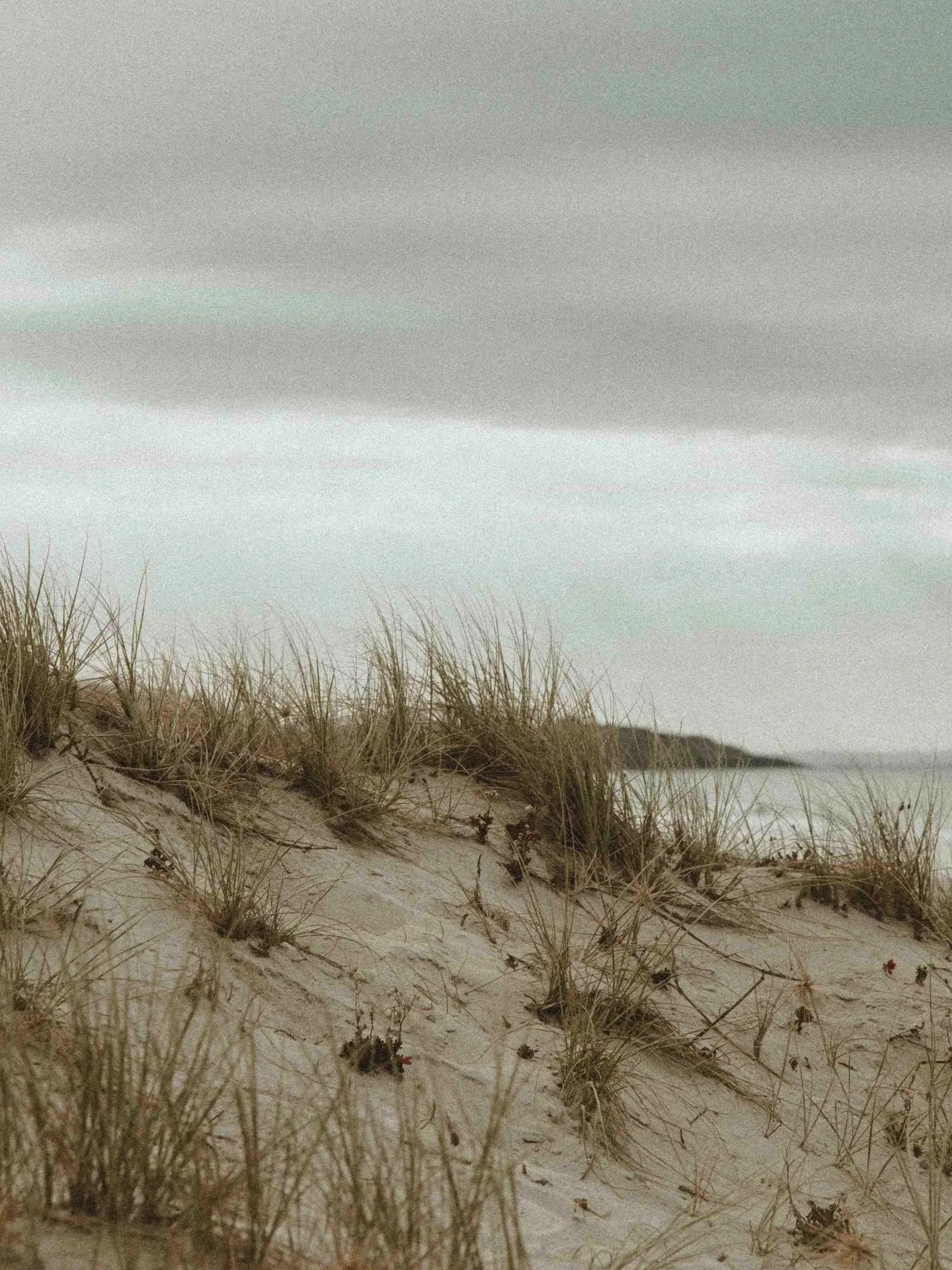Sandy beach with grassy dunes under a cloudy sky, distant shoreline visible in the background.