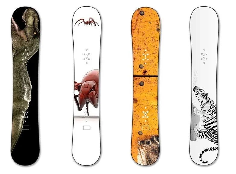 Snowboard Designs
