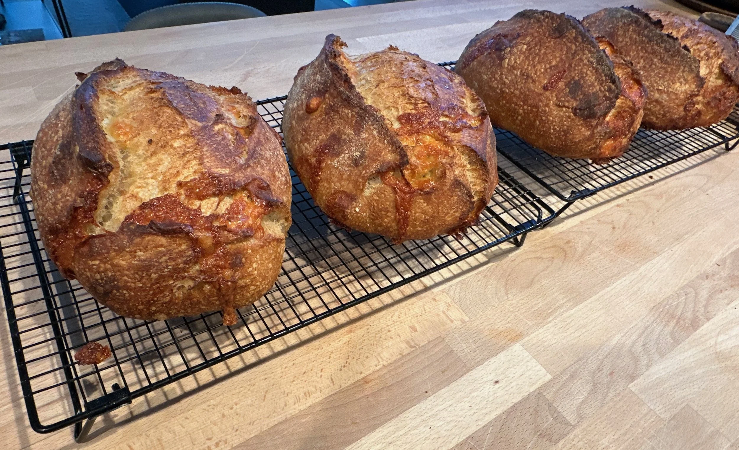 Pain au Fromage.jpeg