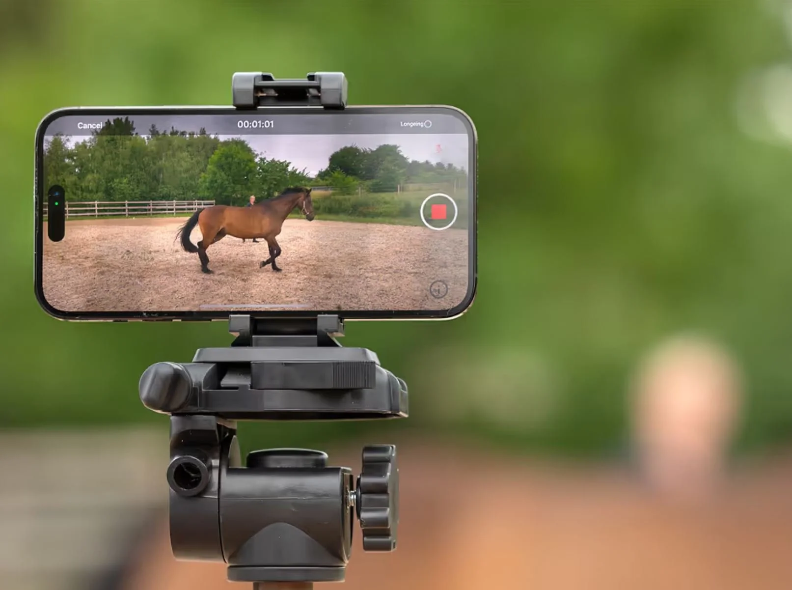 AdvanceAdvanced Equine Biomechanical Analysisd Equine Biomechanical Analysis