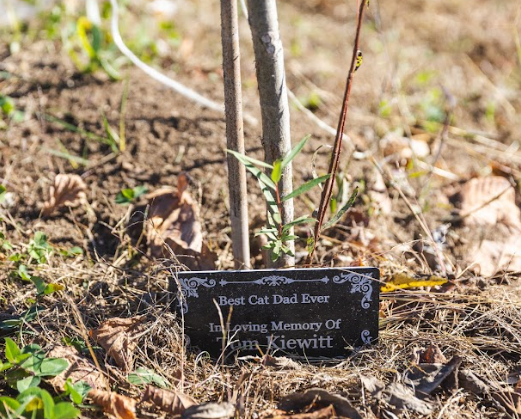 A plaque next to a tribute tree at Sevier County Animal Shelter in East Tennessee.
