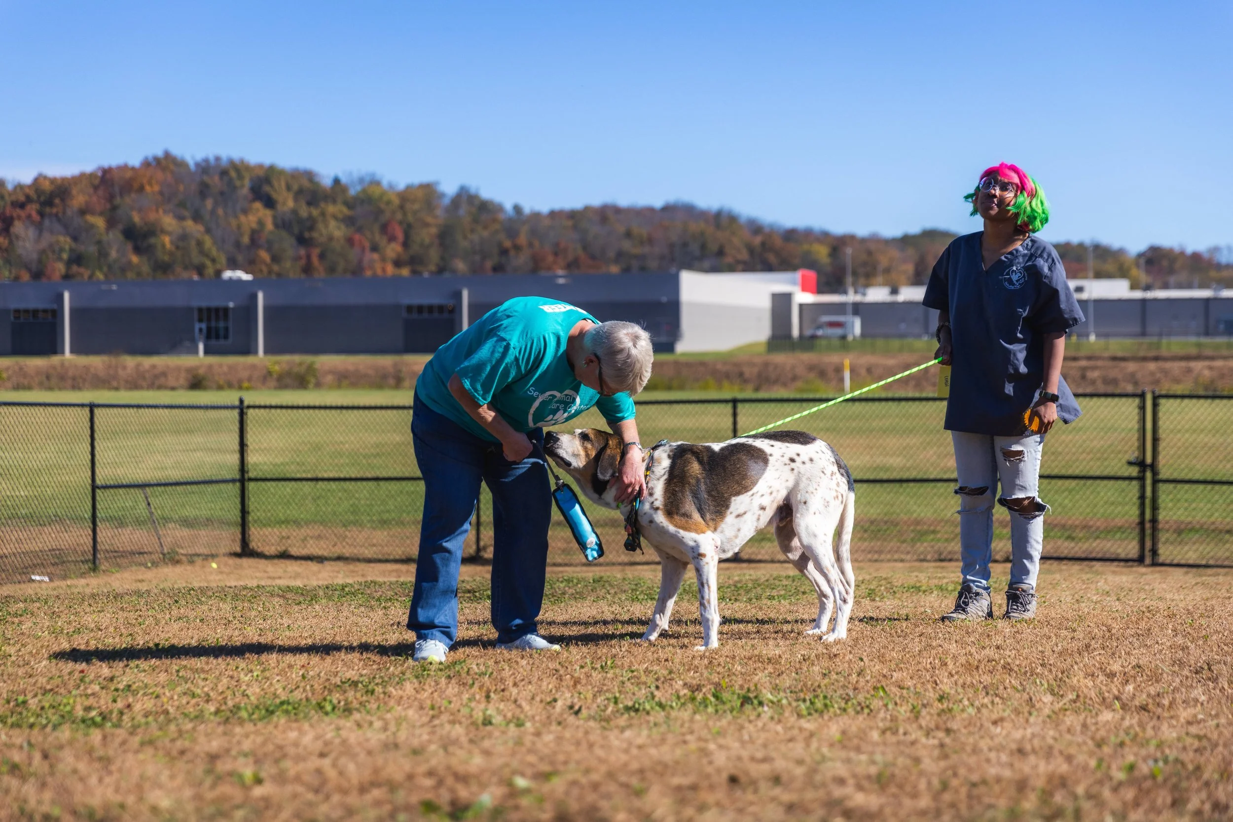 Woman in a blue shirt is bending down to pet a white and brown dog | Sevier County Animal Shelter