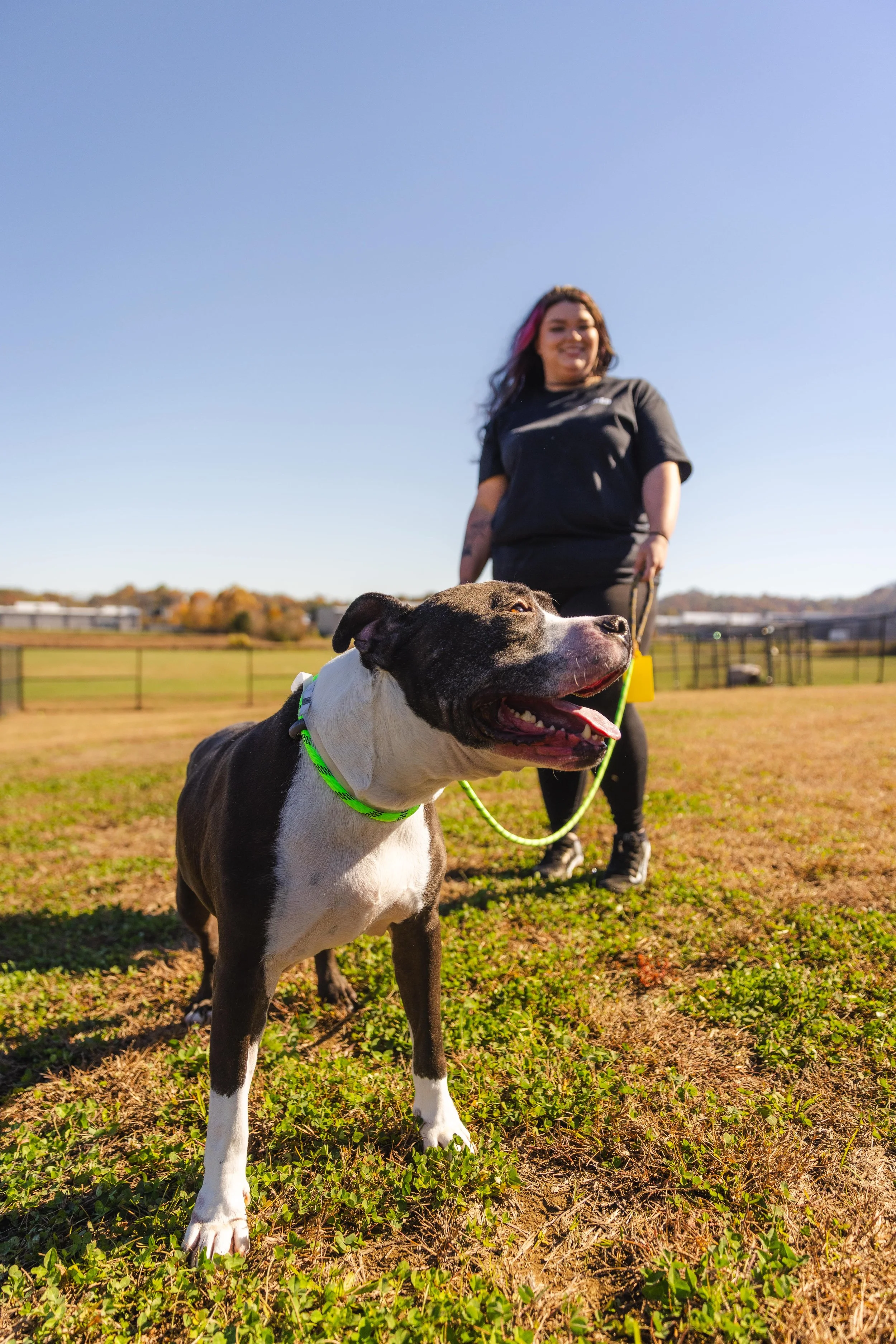 Black and white dog smiling with a dog trainer behind it | Sevier County Animal Shelter