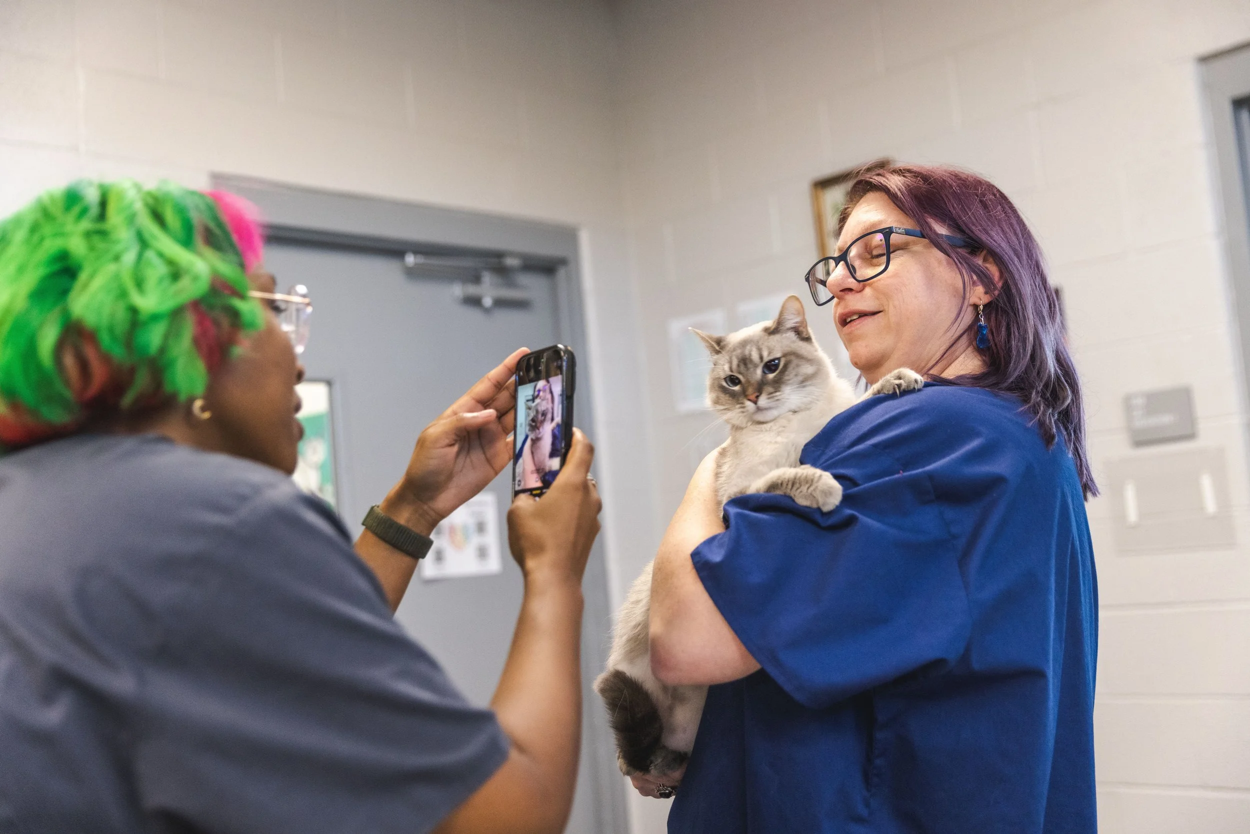 Two Sevier County Animal Shelter team members taking a picture of a cat. Lost and found pets in Sevier County, TN.