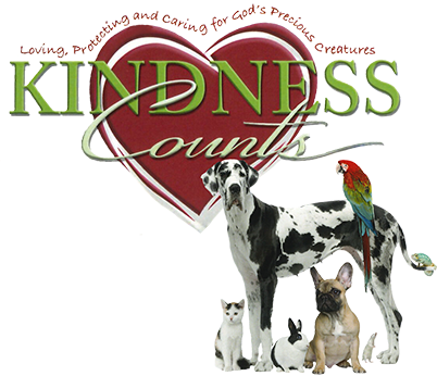 Kindness Counts Logo