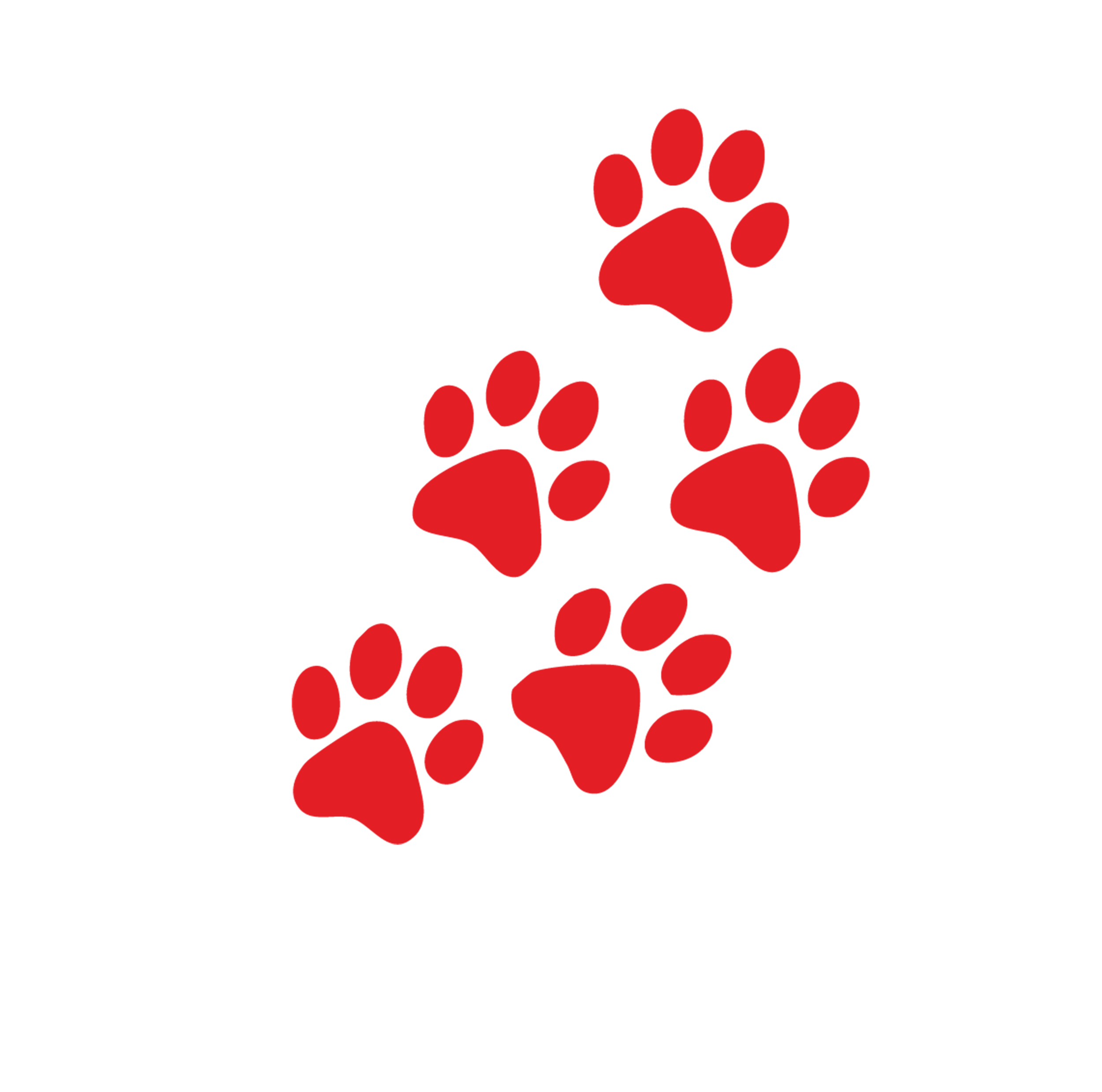 Stylized black dog paw print with five red paw pads arranged diagonally.