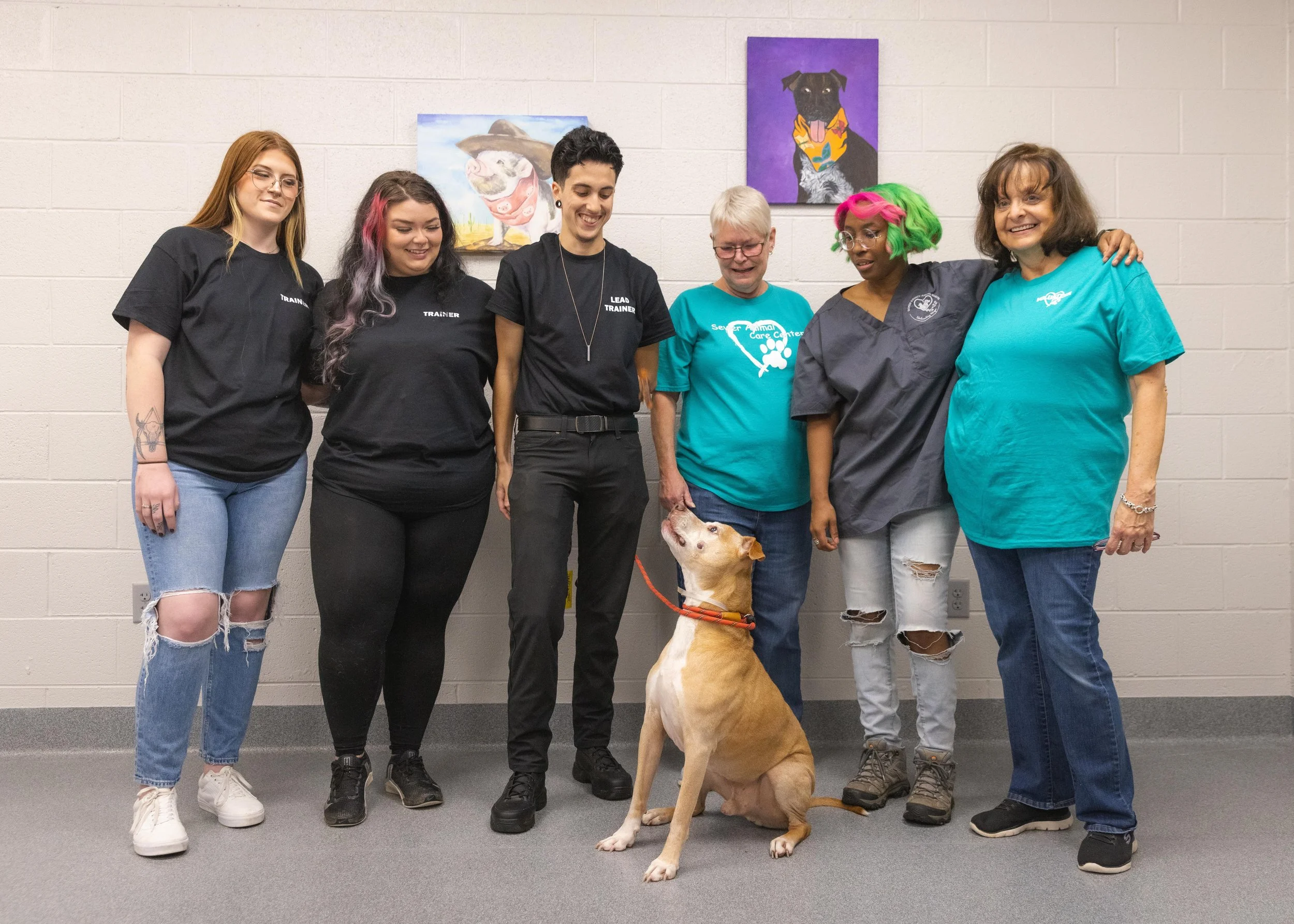 Group of volunteers at the Sevier County Animal Shelter with a tan and white dog | Volunteer at Sevier County Animal Shelter