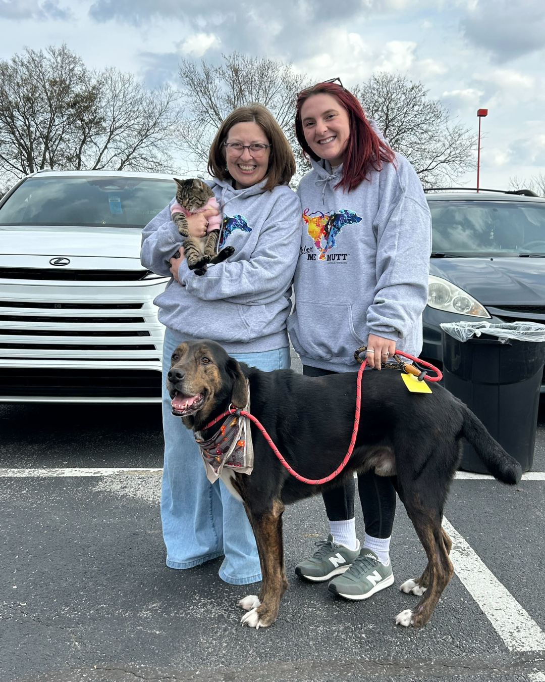 Two people in gray sweatshirts with a cat and dog in front of two parked cars. Foster pets in Sevier County, TN.