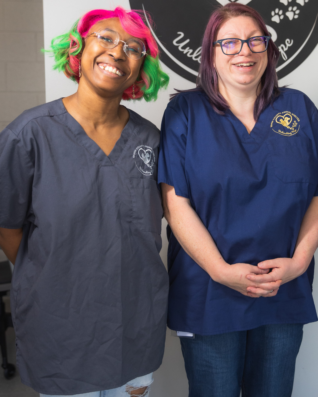 Two people wearing gray and blue scrubs working at Sevier County Animal Shelter.