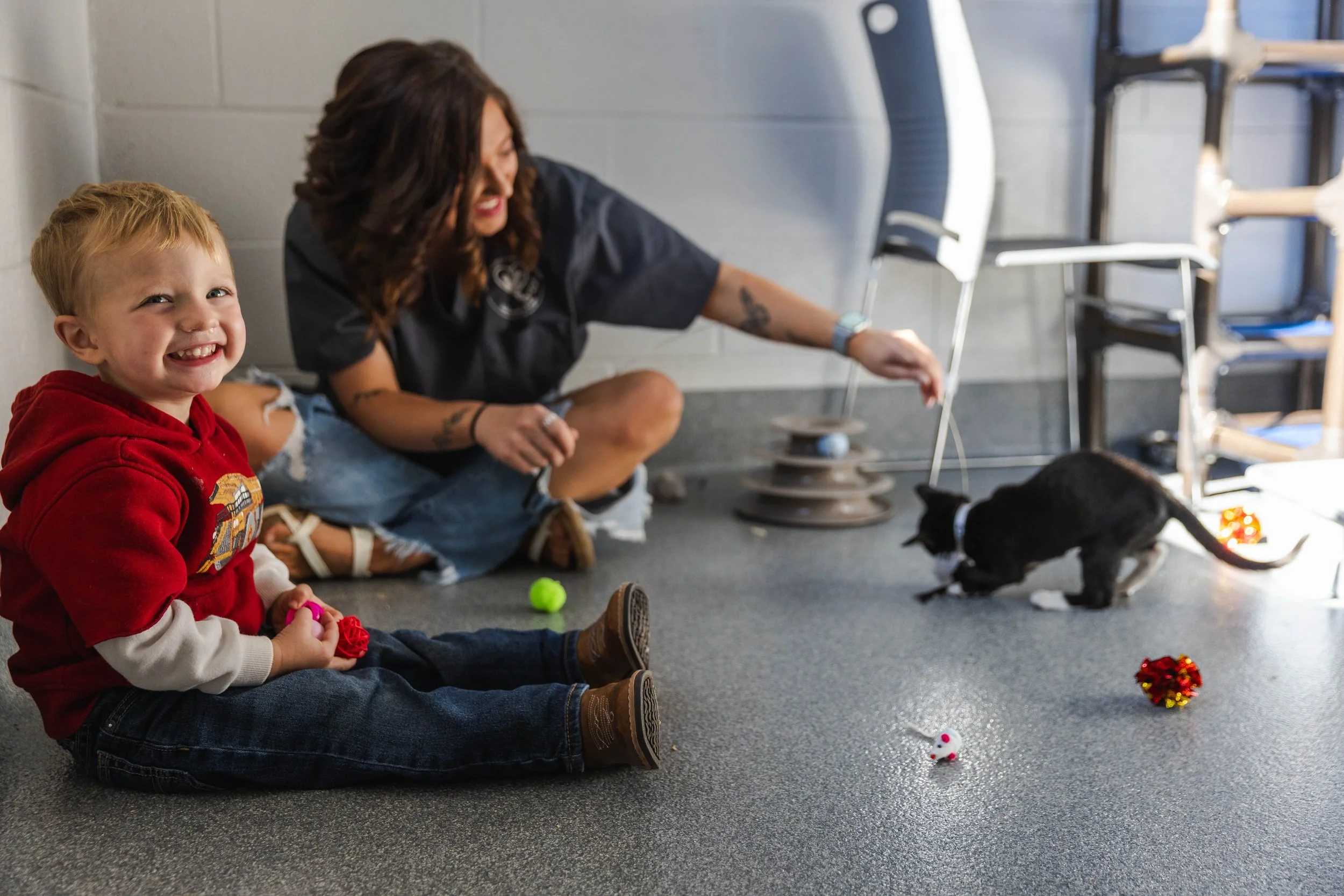A little boy is smiling at the camera while in the background a Sevier County Animal Shelter employee is playing with a kitten. Adopt a cat in Sevier County, TN today.