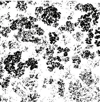 Schwarz-weiße körnige Textur, die an Schnee oder eine poröse Oberfläche erinnert.