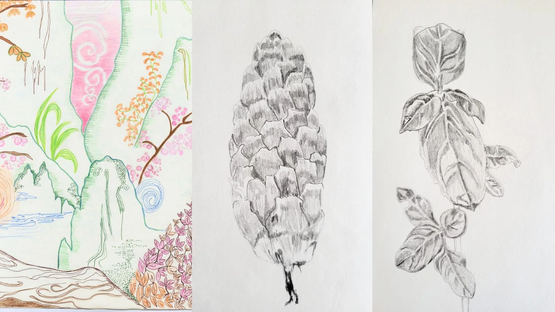 Image form 3 diferent drawing inspired in Natur