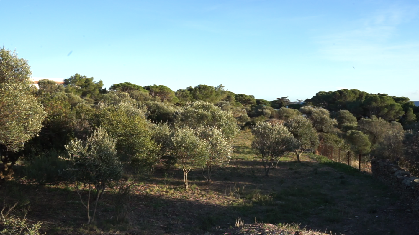 Paisatges cadaques agricola image.png