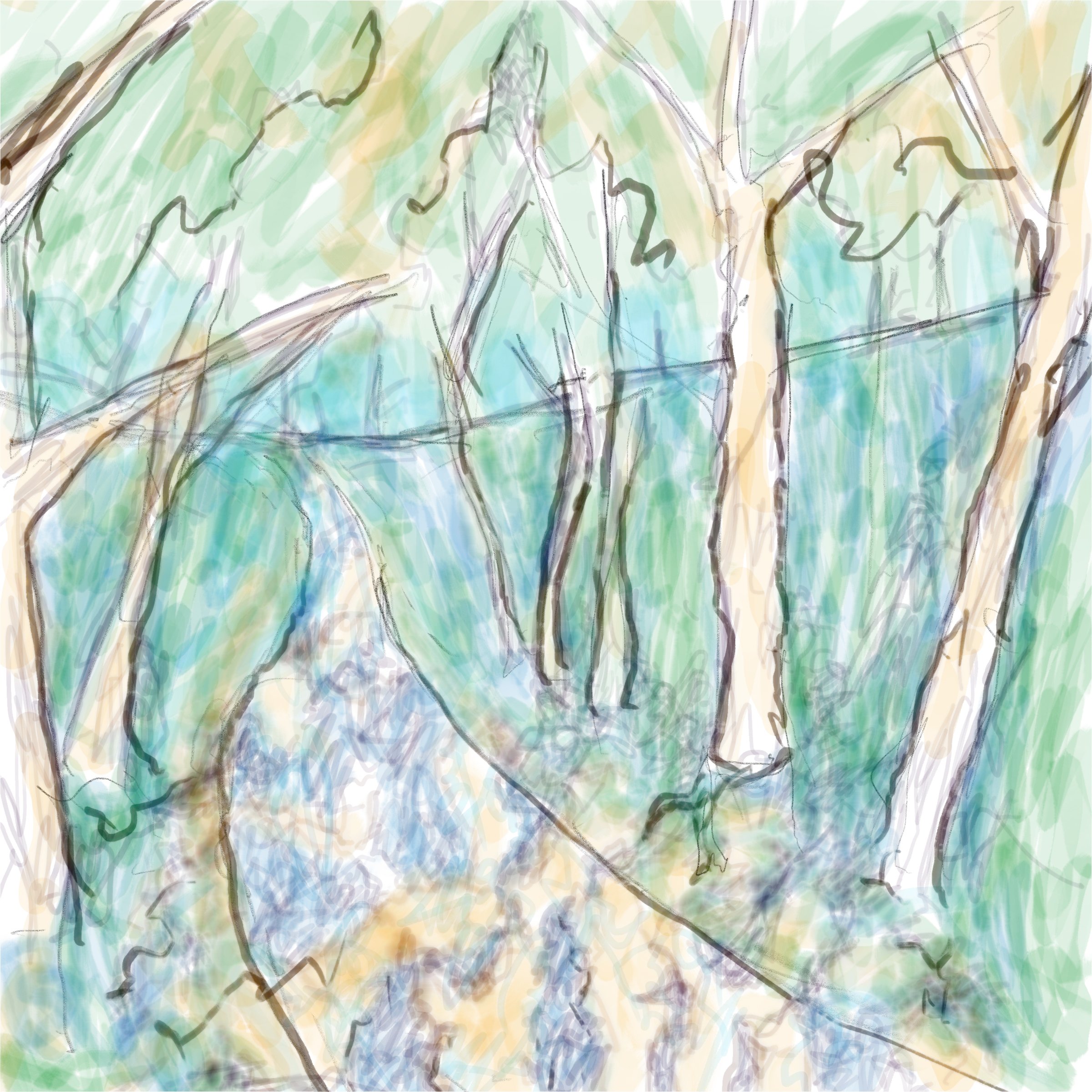 A break allows refocusing on the path ahead